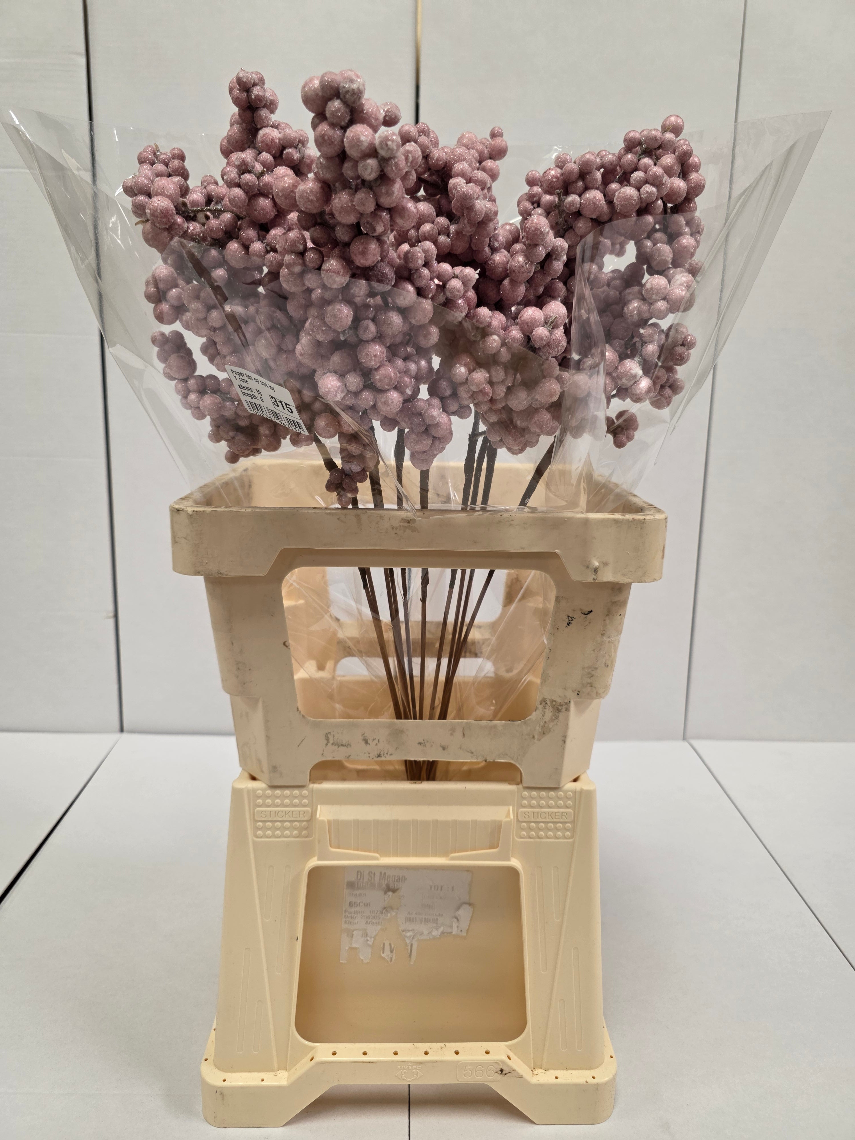 Peper Bes Op Stok Icy Rose