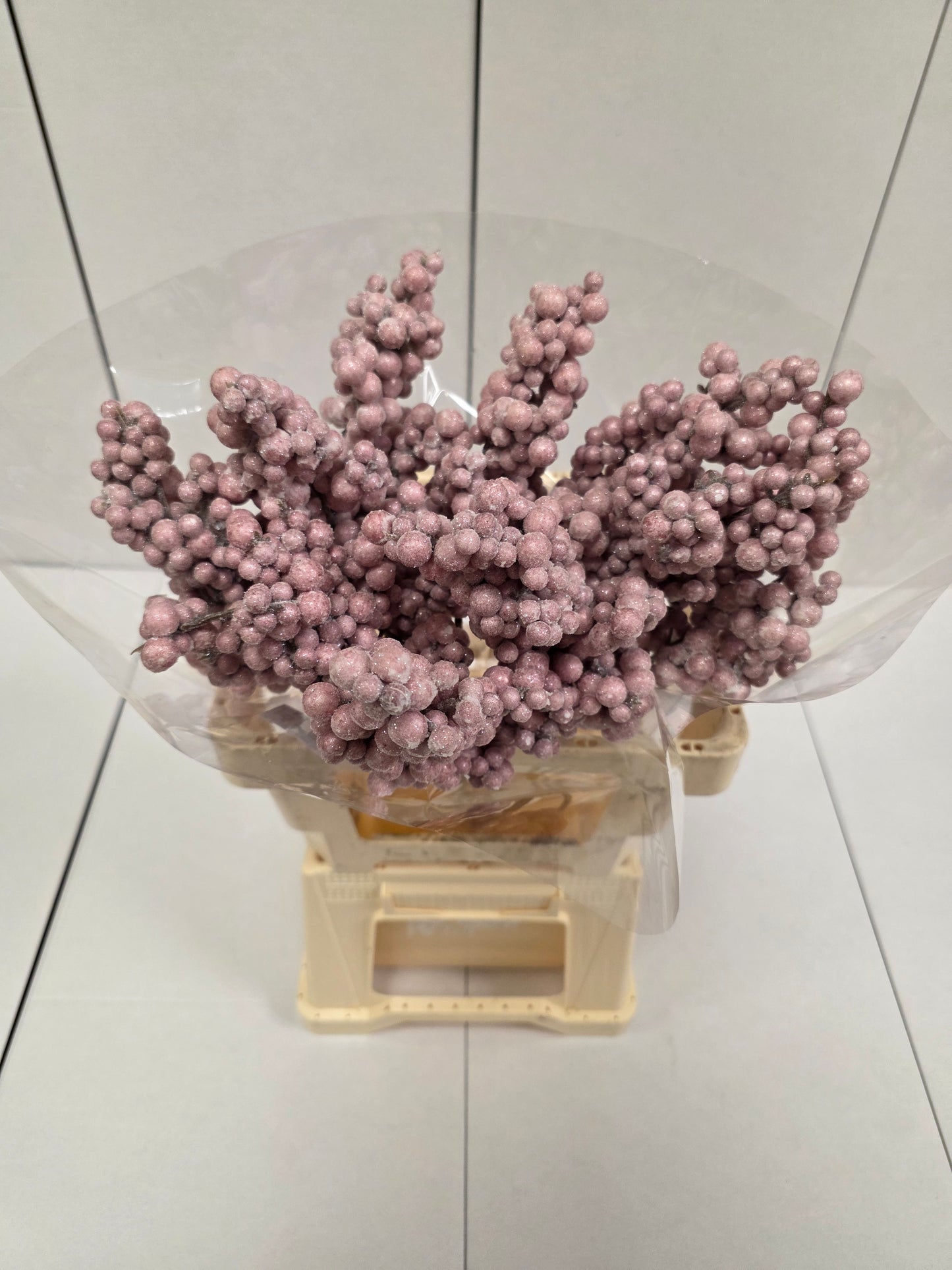 Peper Bes Op Stok Icy Rose