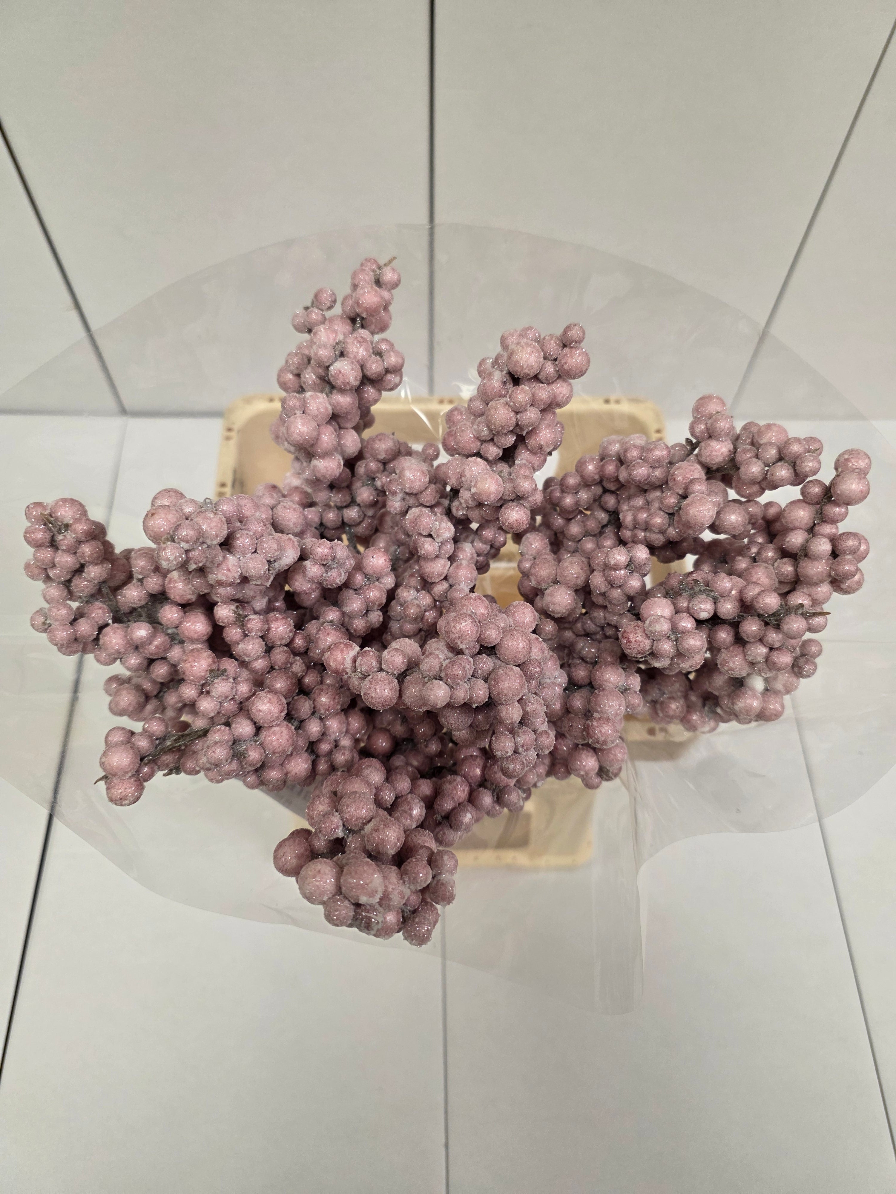 Peper Bes Op Stok Icy Rose
