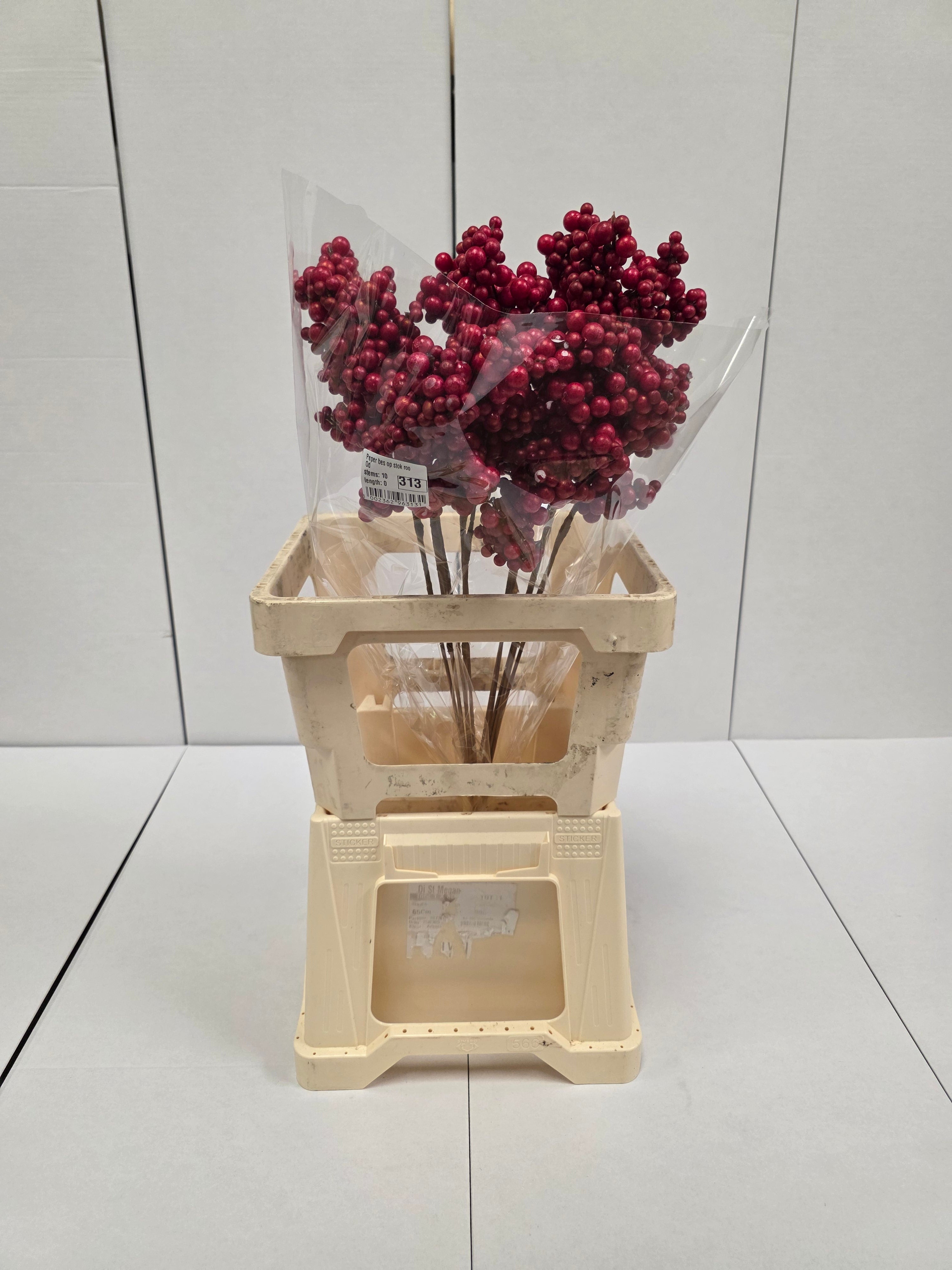Peper Bes Op Stok Rood