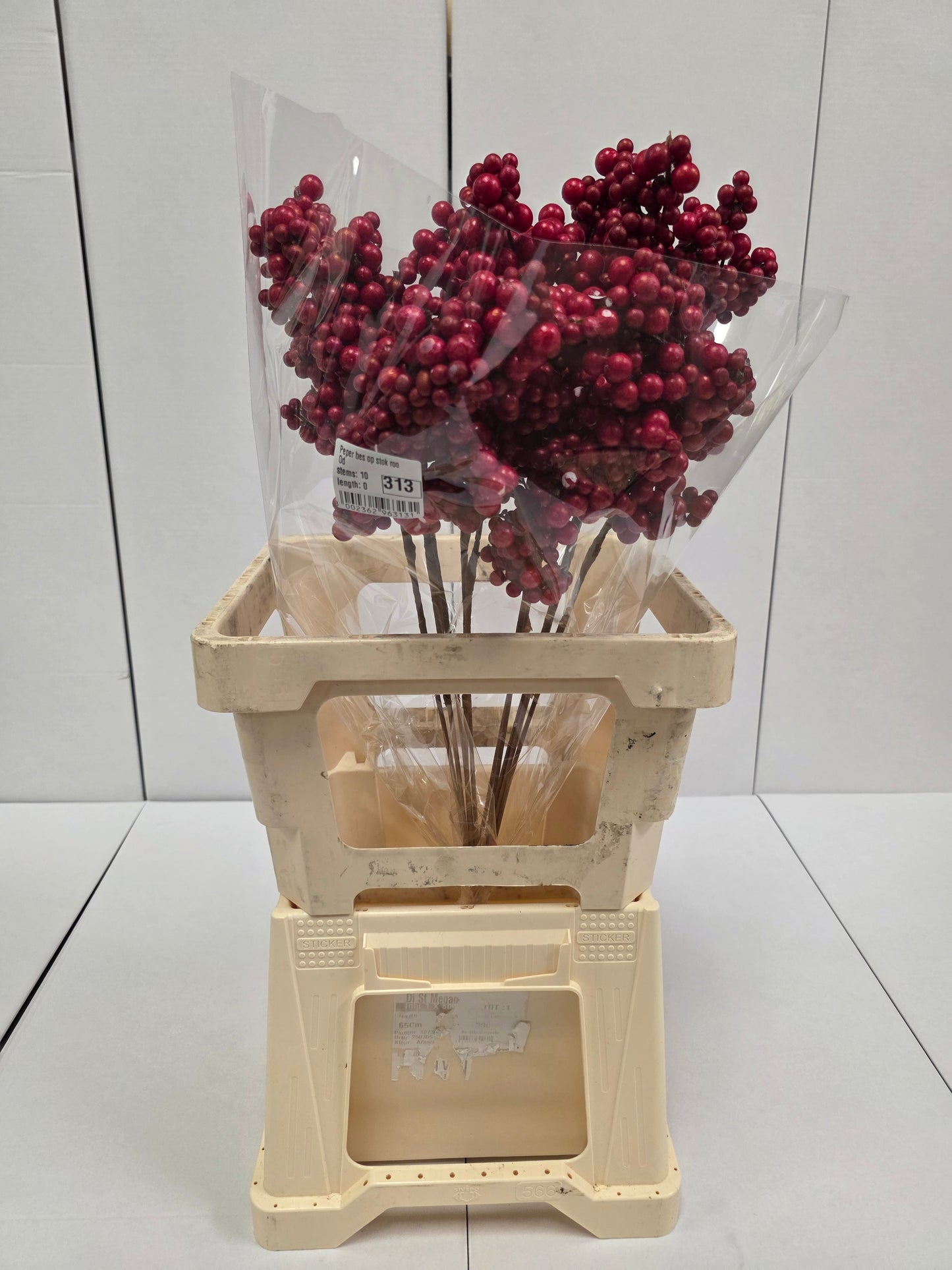 Peper Bes Op Stok Rood