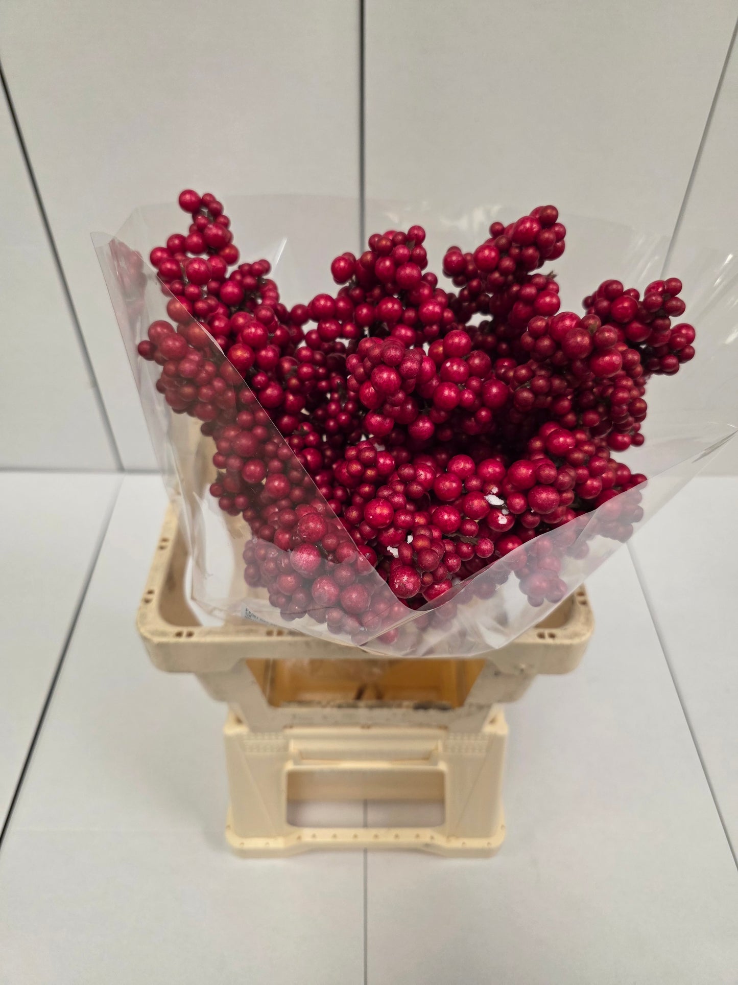 Peper Bes Op Stok Rood