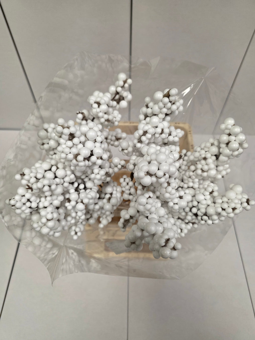 Peper Bes Op Stok Wit