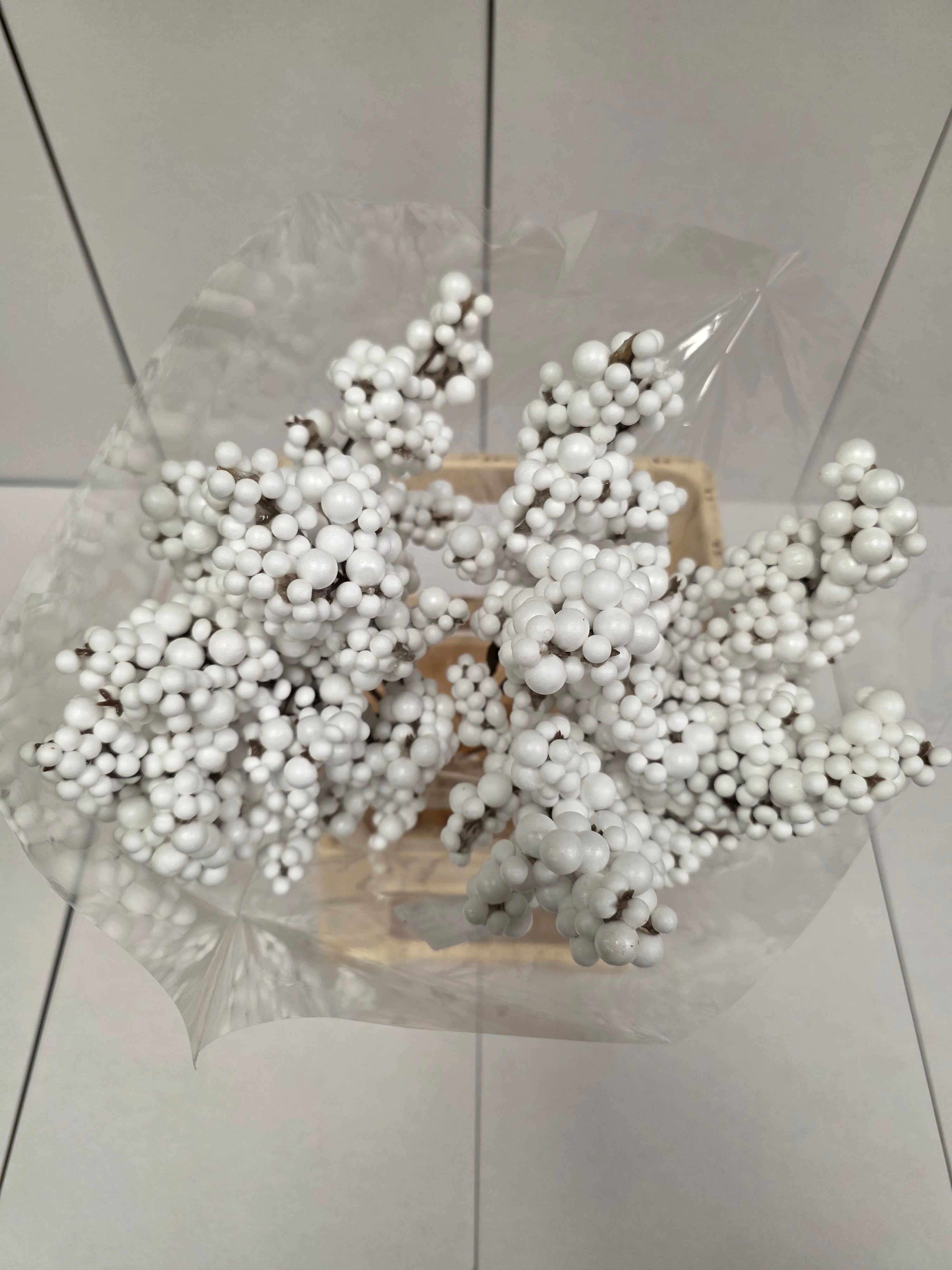 Peper Bes Op Stok Wit