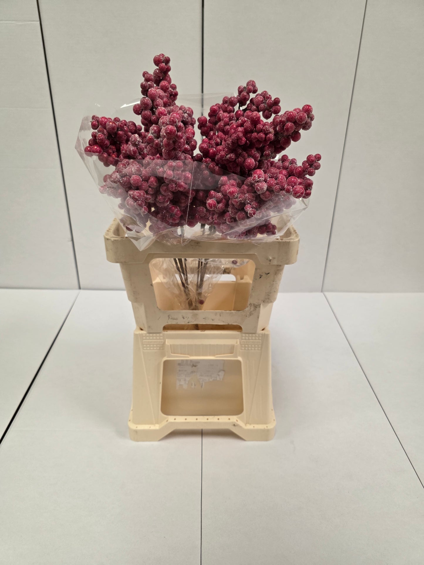 Peper Bes Op Stok Zz Icy Rood