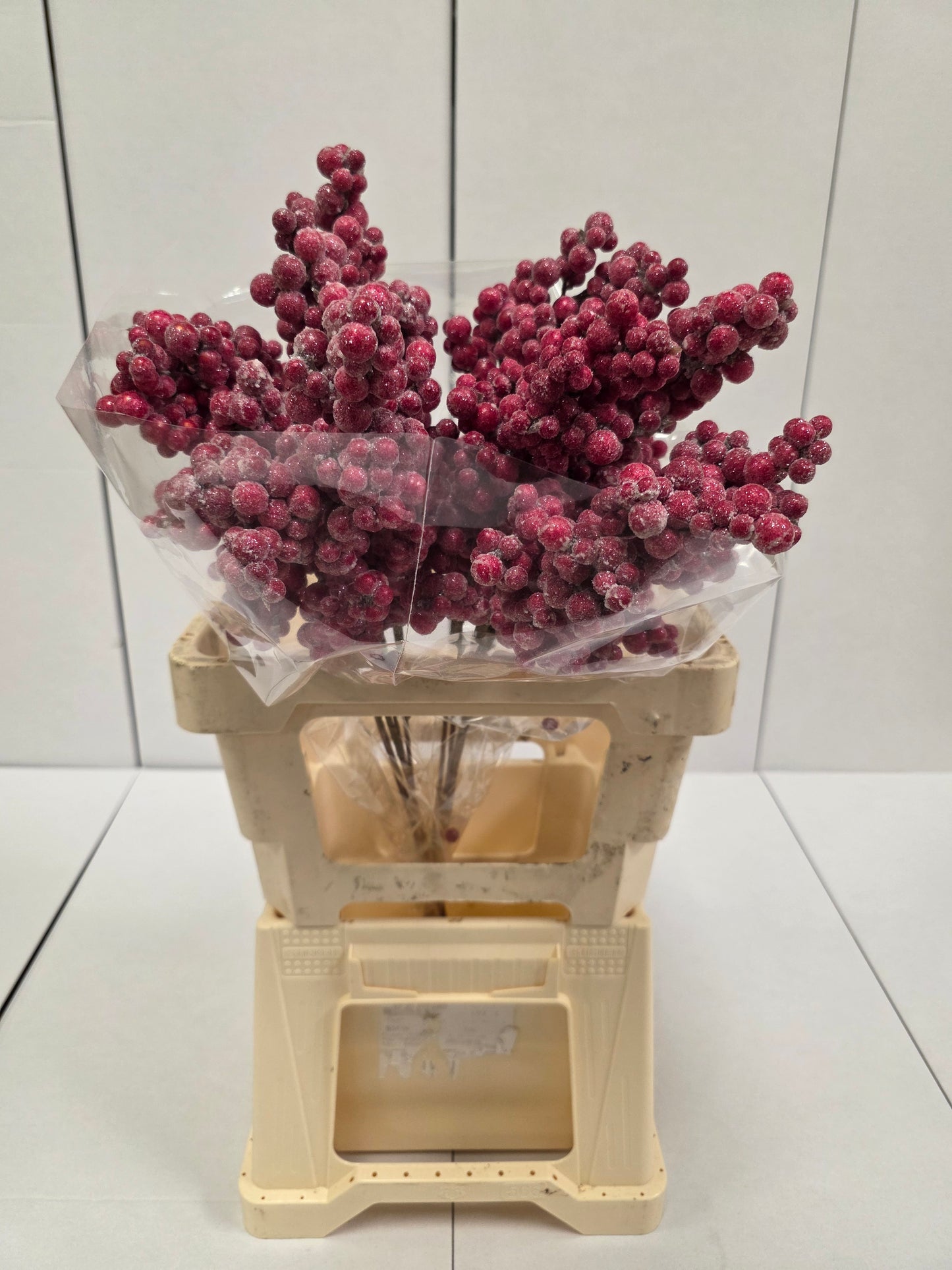 Peper Bes Op Stok Zz Icy Rood