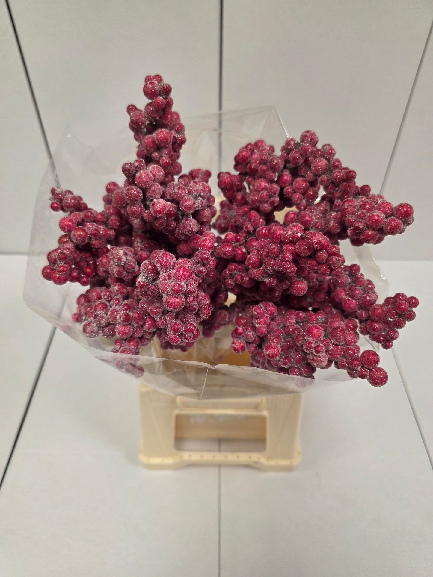 Peper Bes Op Stok Zz Icy Rood