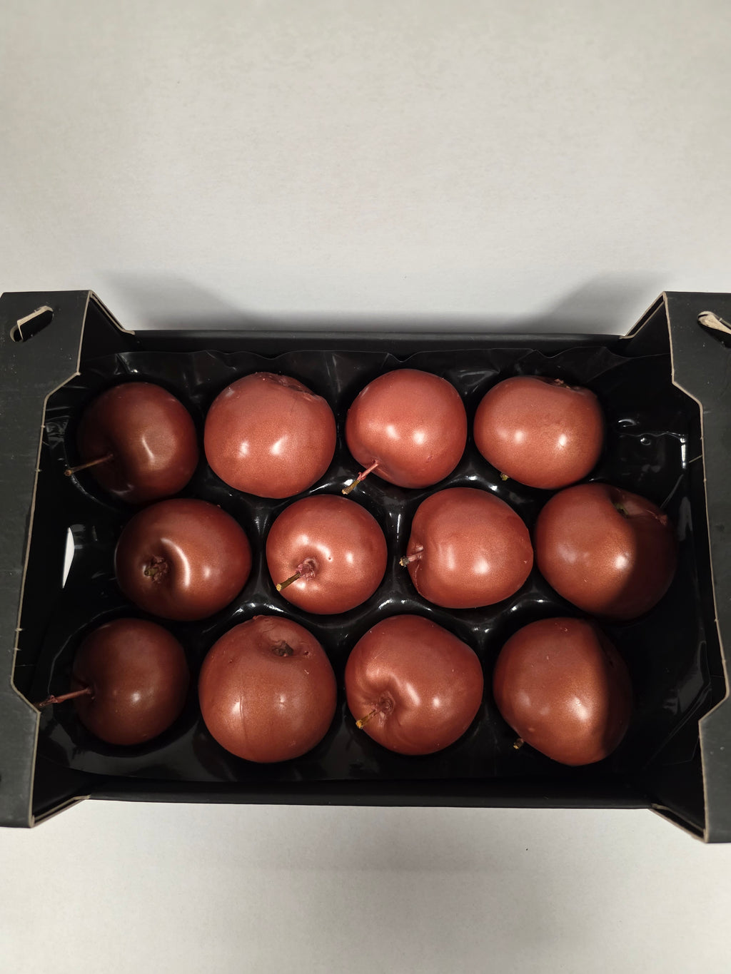 Wax Apple Copper
