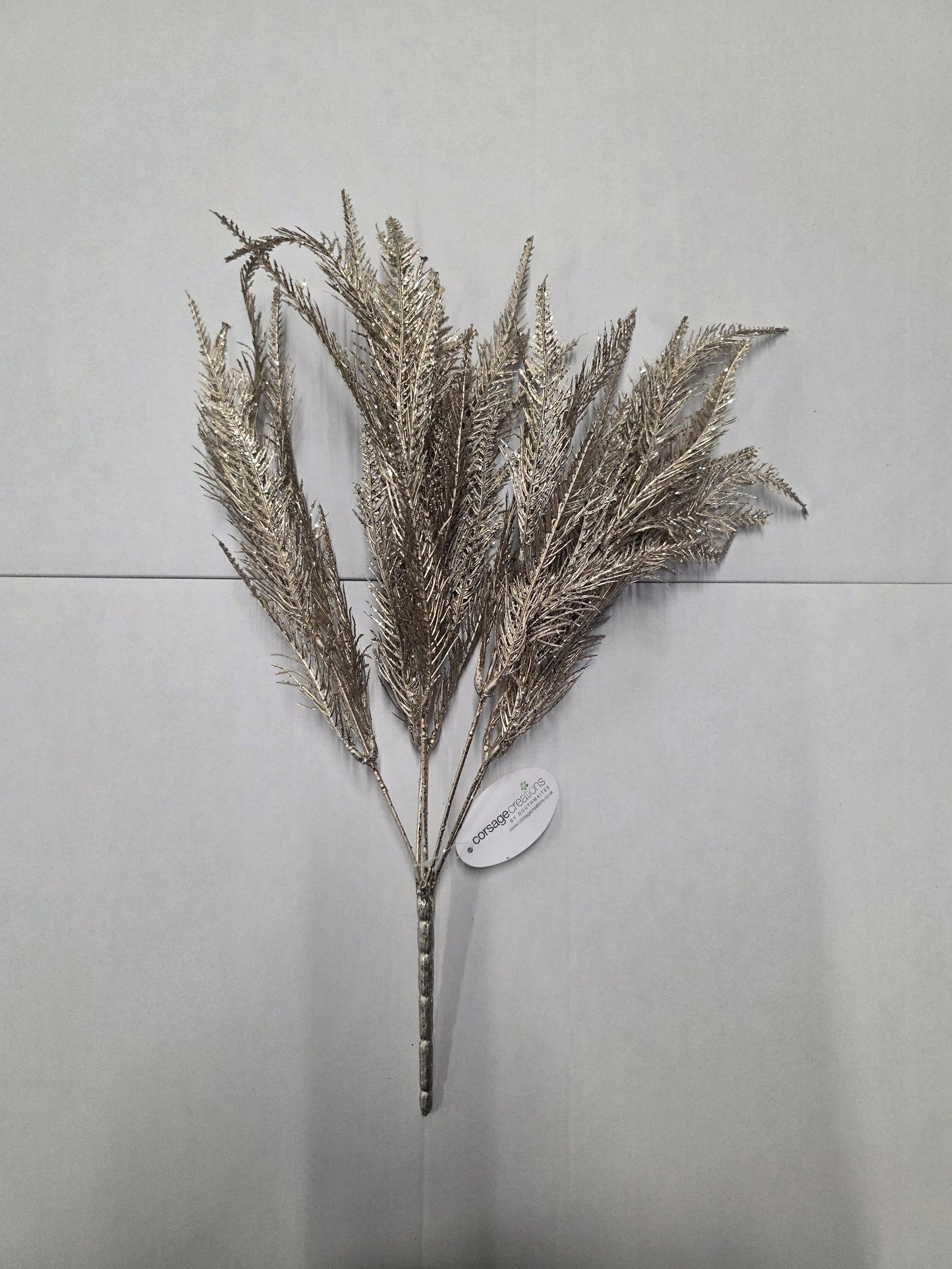 Fern Bush Champagne 50cm