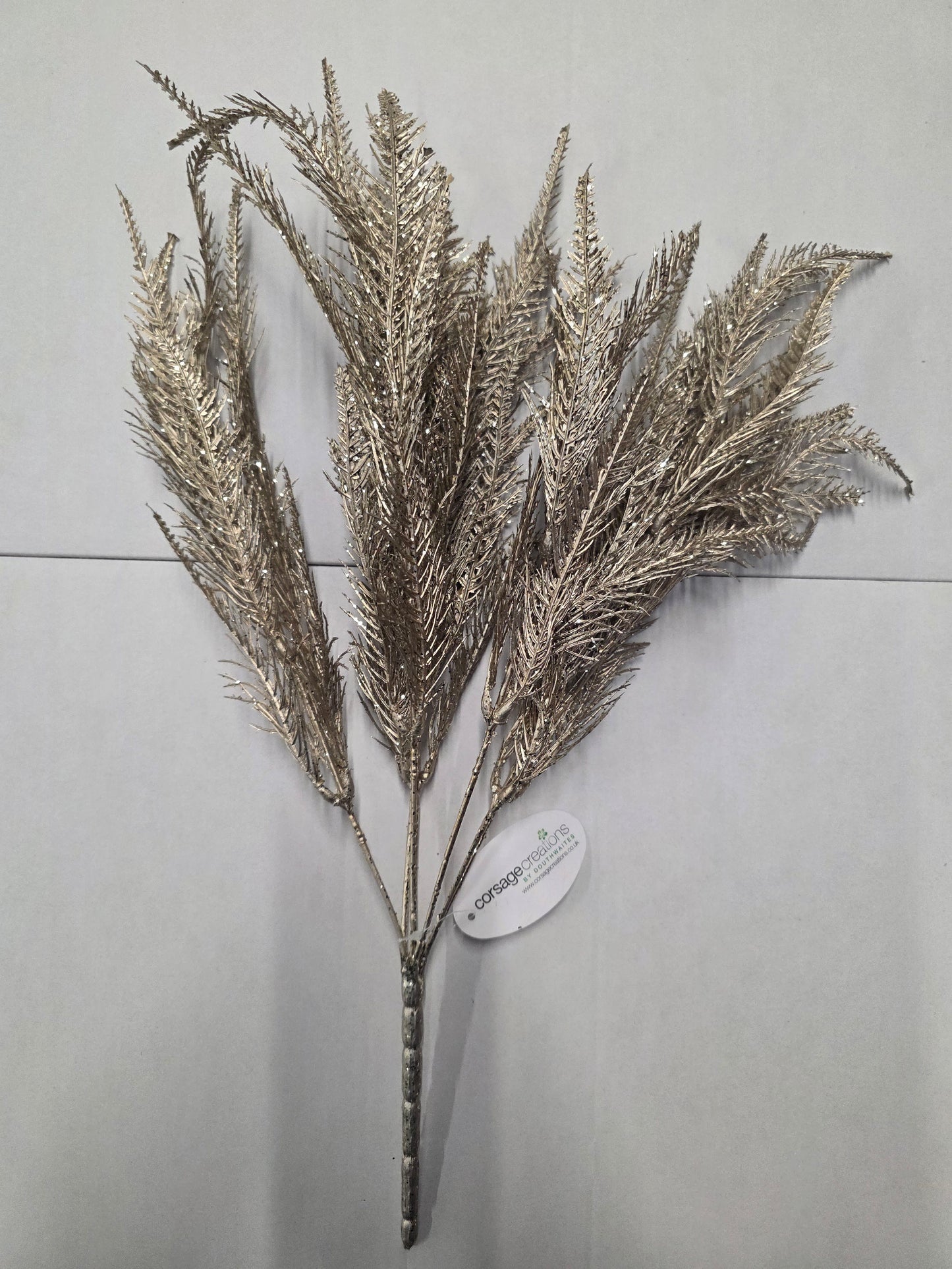 Fern Bush Champagne 50cm