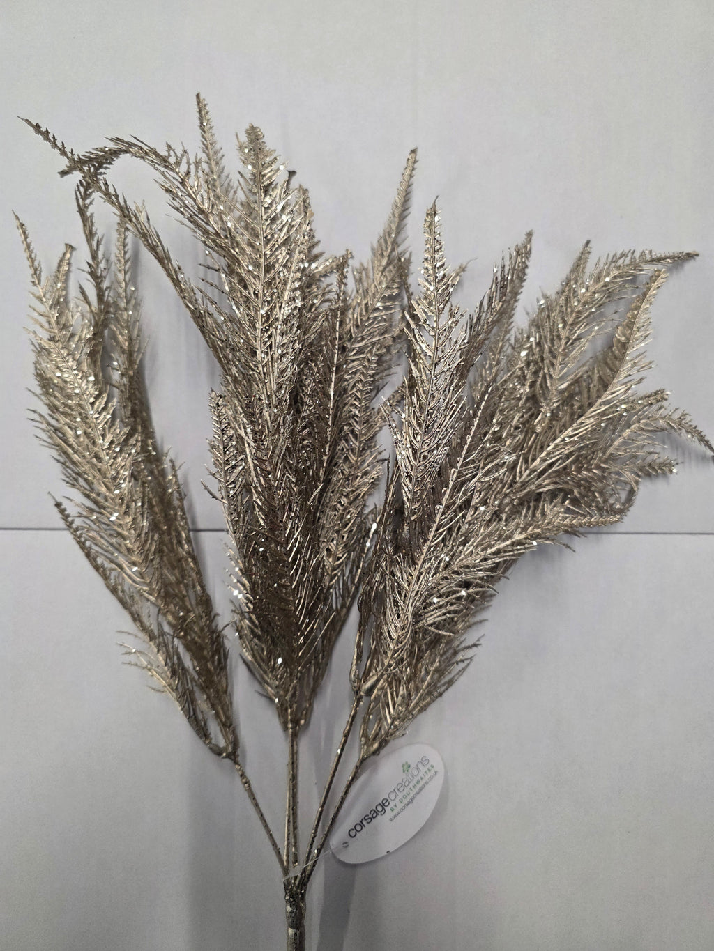 Fern Bush Champagne 50cm