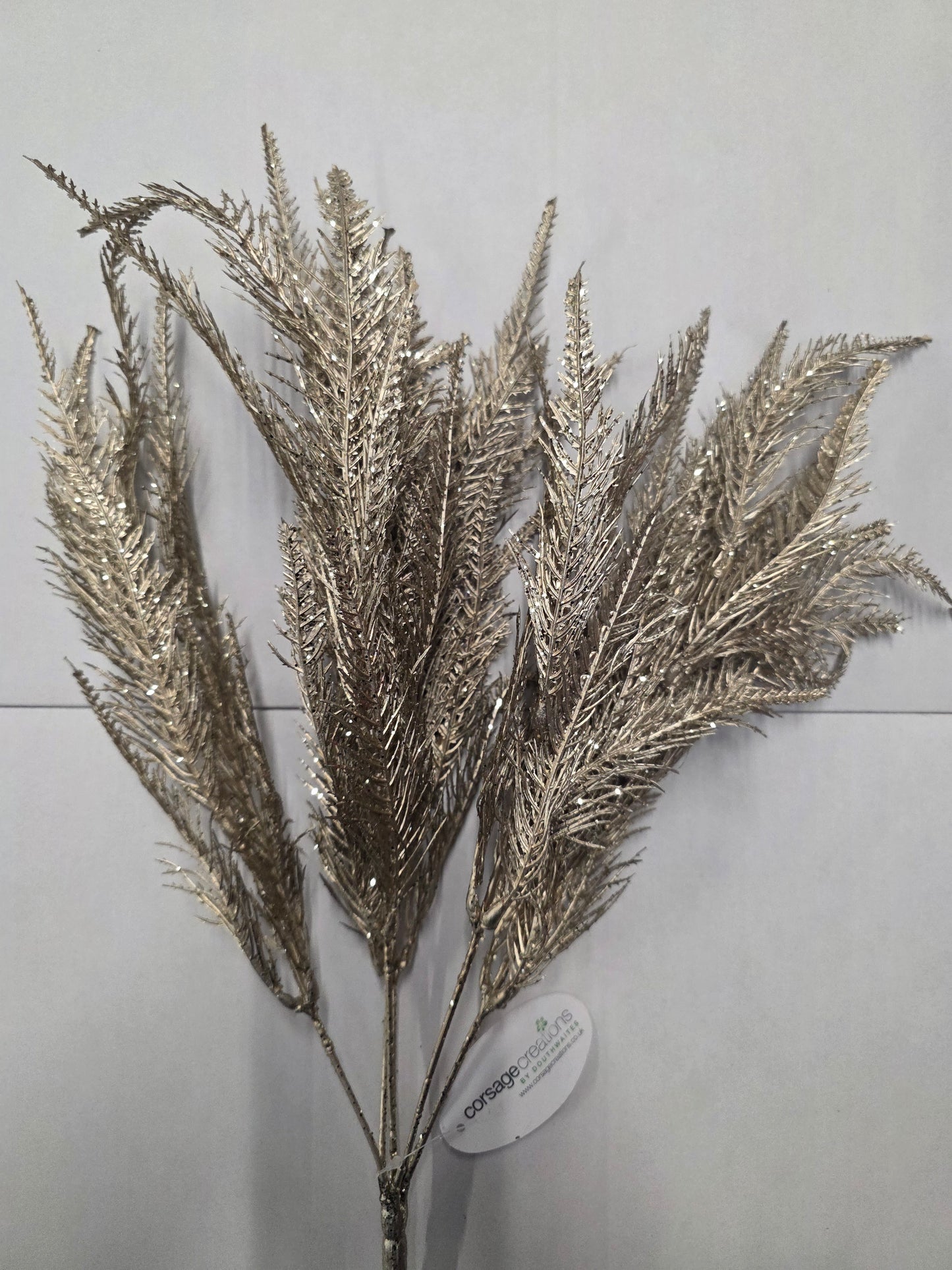 Fern Bush Champagne 50cm