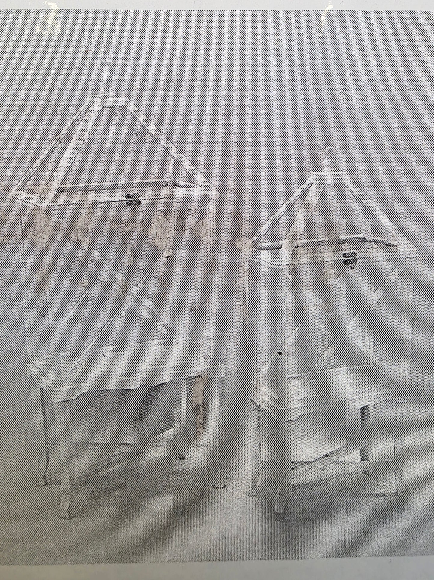 Greenhouse Set Of 2
