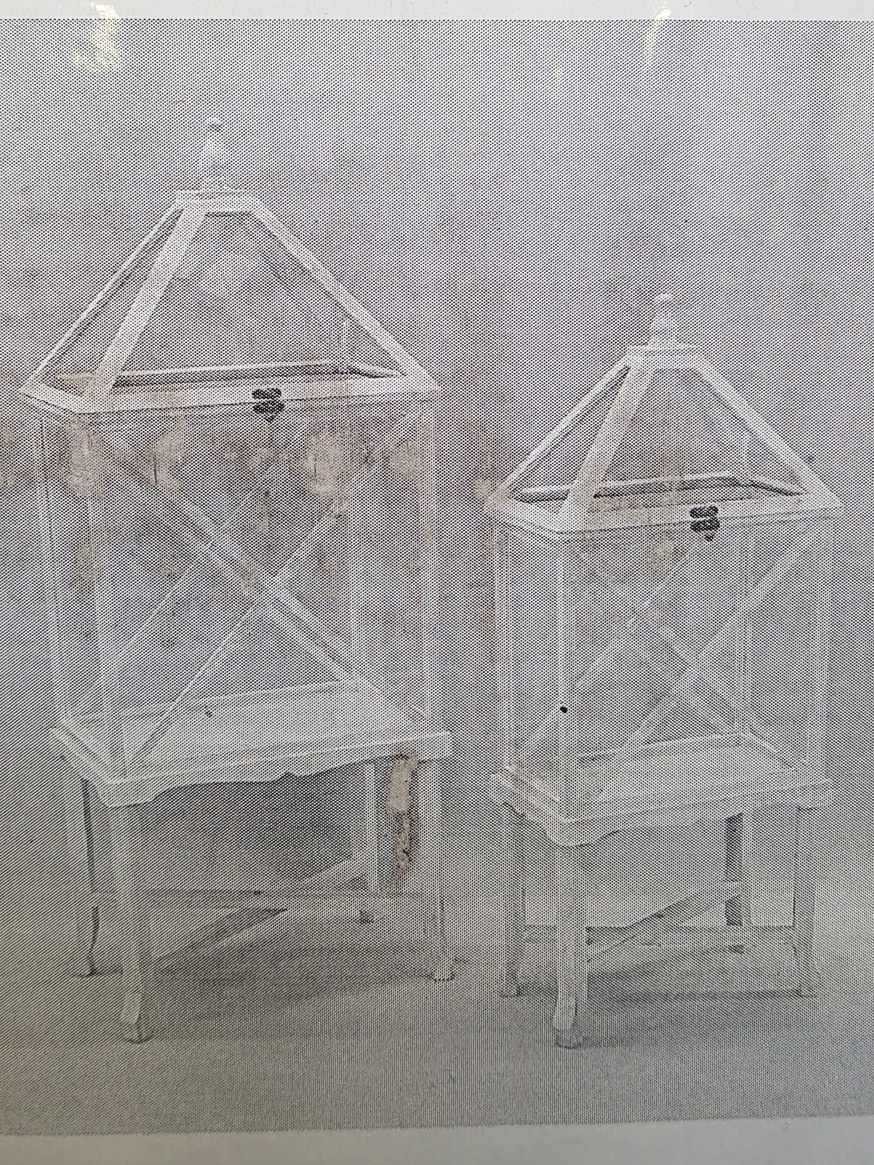 Greenhouse Set Of 2