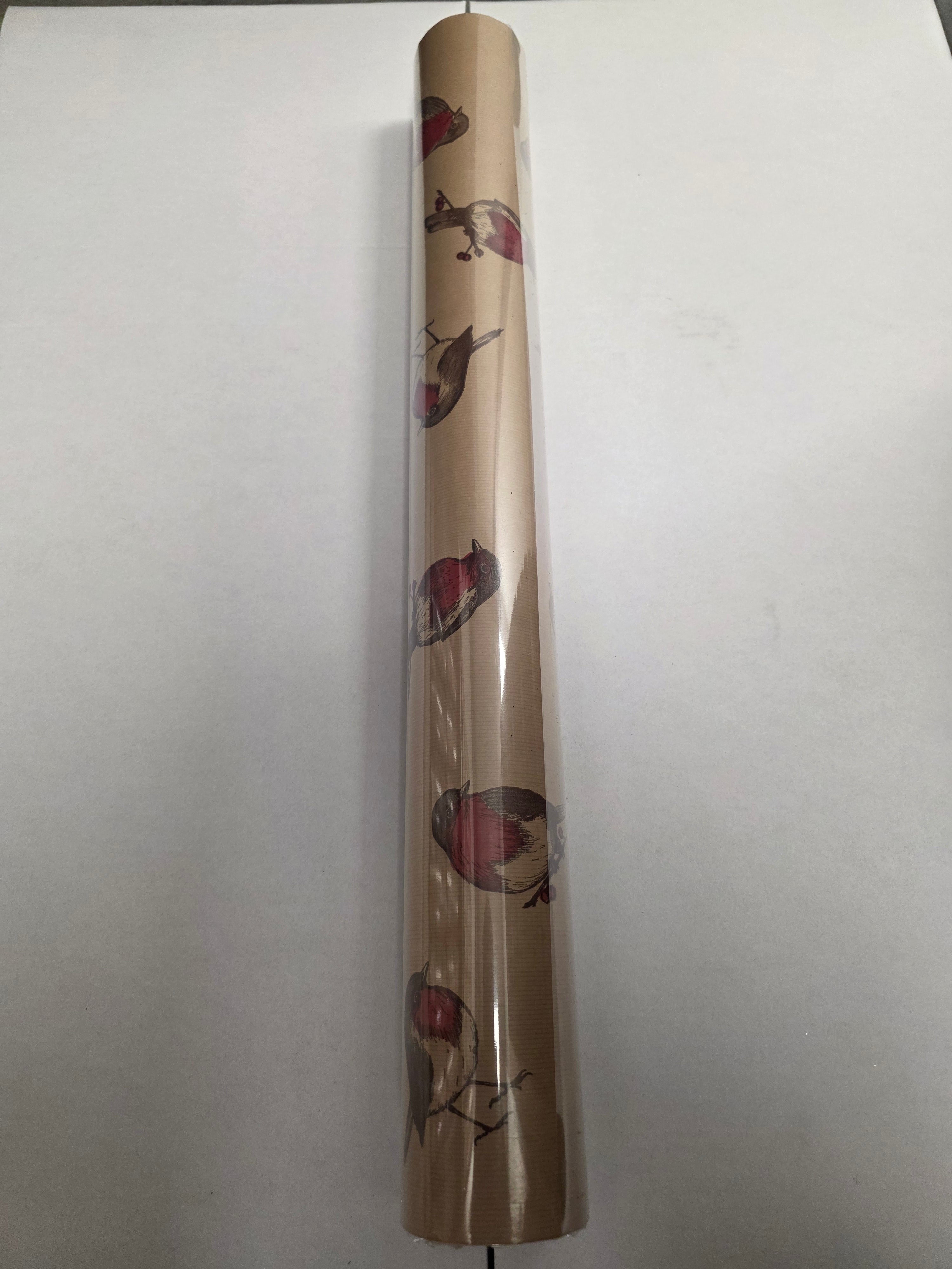 Craft Paper Red Robin