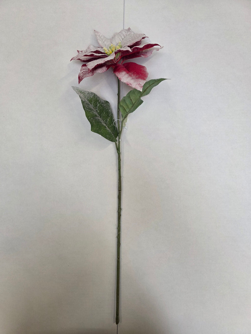 Snow Poinsettia Stem 71cm