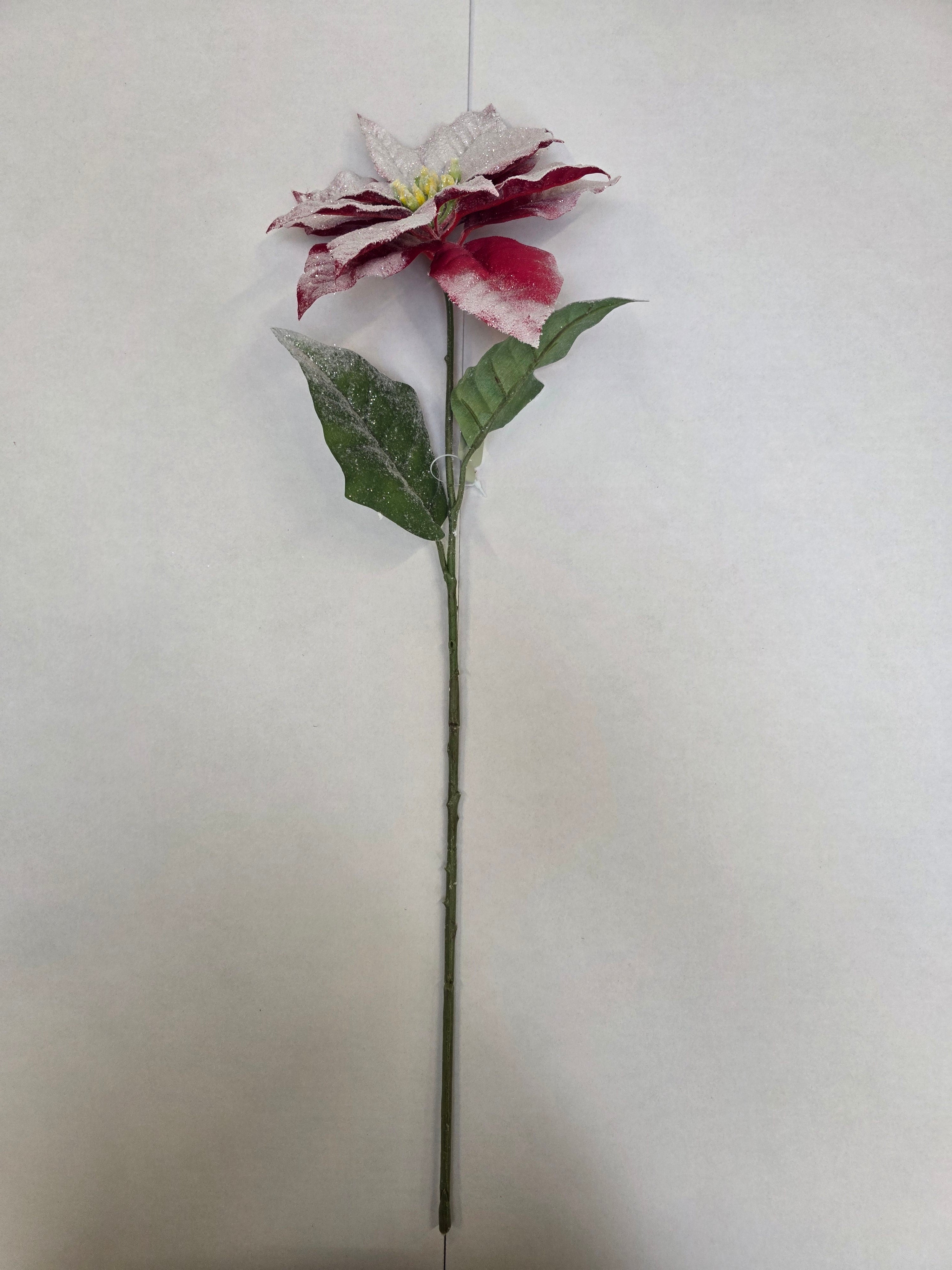 Snow Poinsettia Stem 71cm