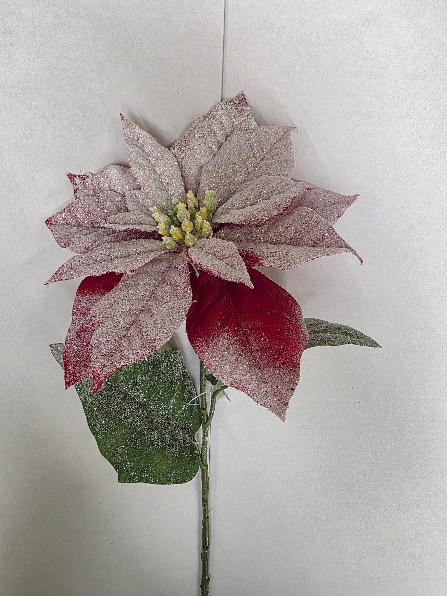 Snow Poinsettia Stem 71cm