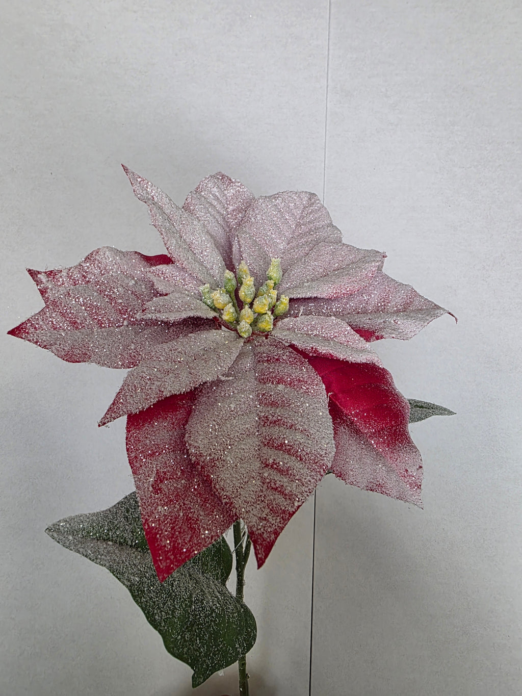 Snow Poinsettia Stem 71cm