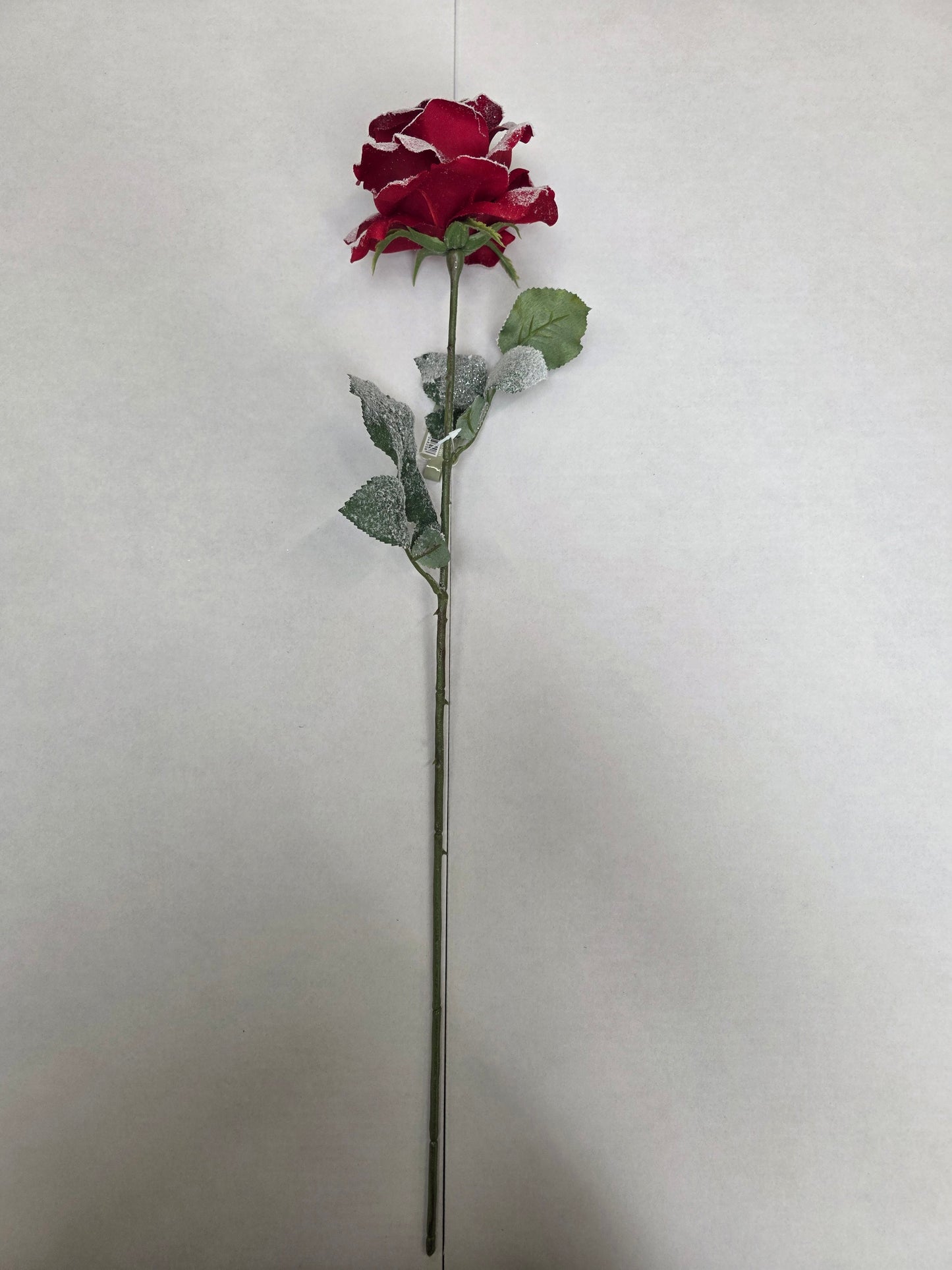 Snow Rose Stem 67cm