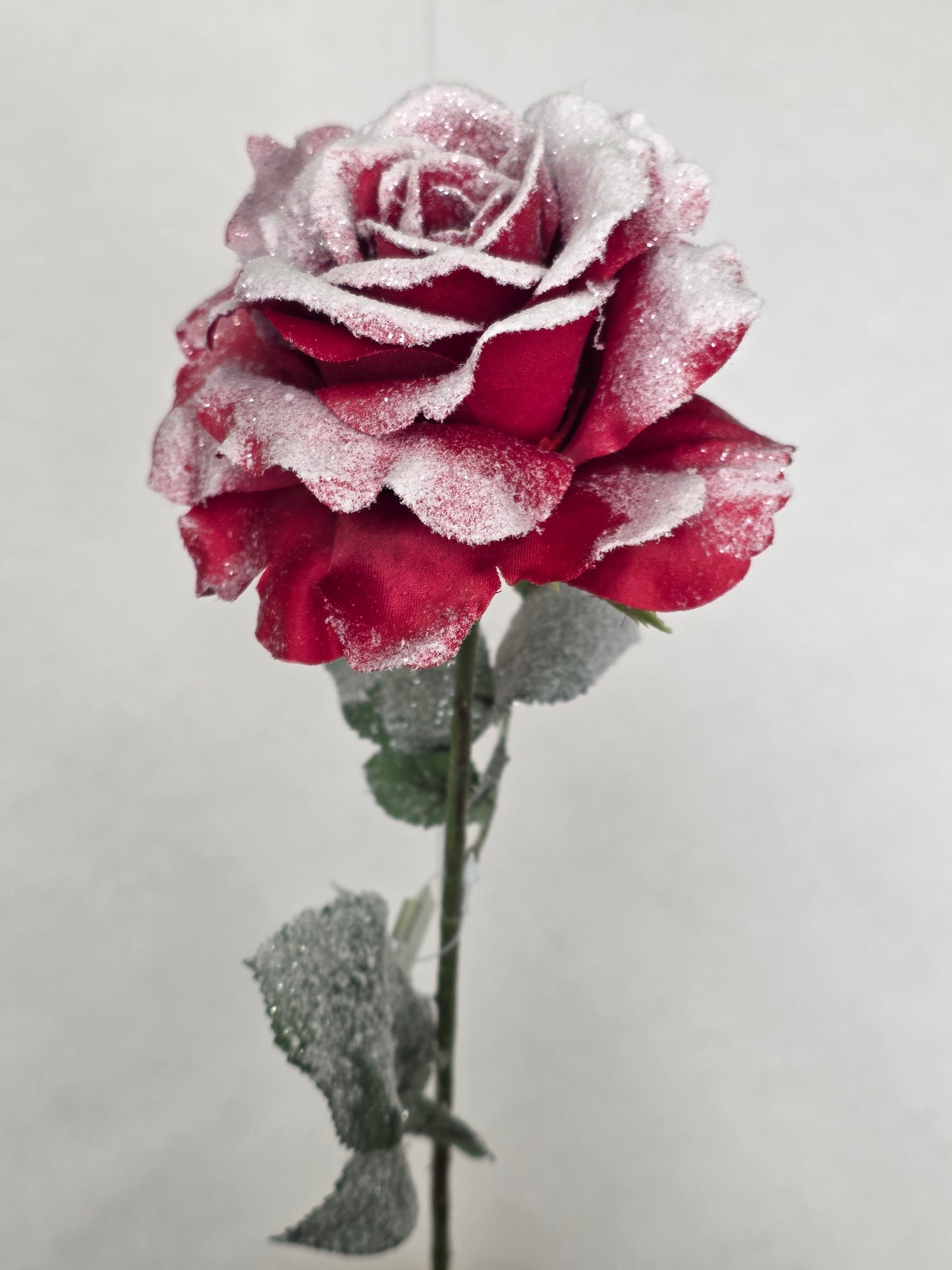 Snow Rose Stem 67cm