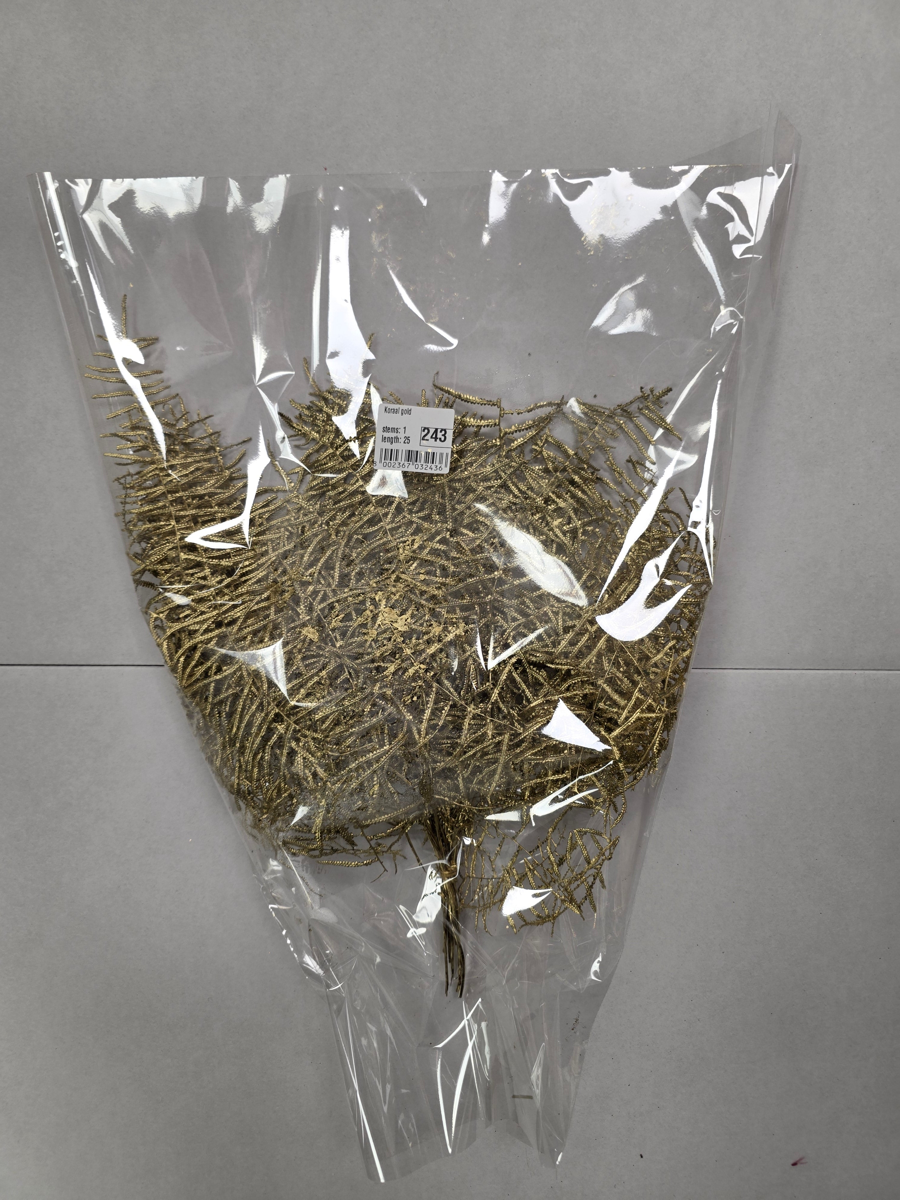 Koraal Gold