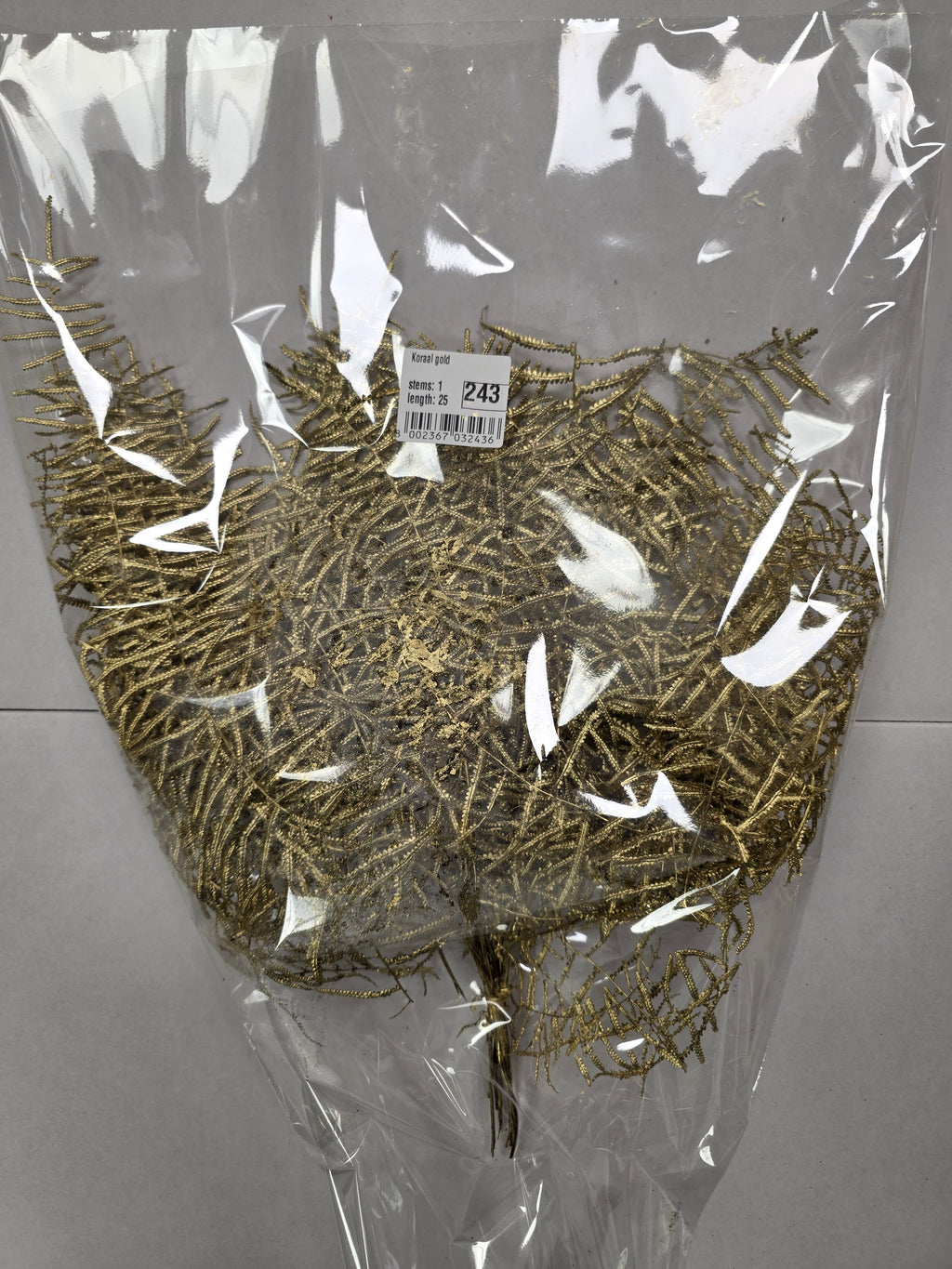 Koraal Gold
