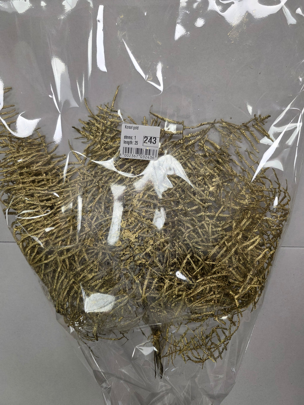 Koraal Gold