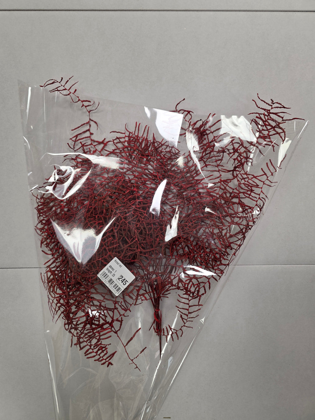 Koraal Red