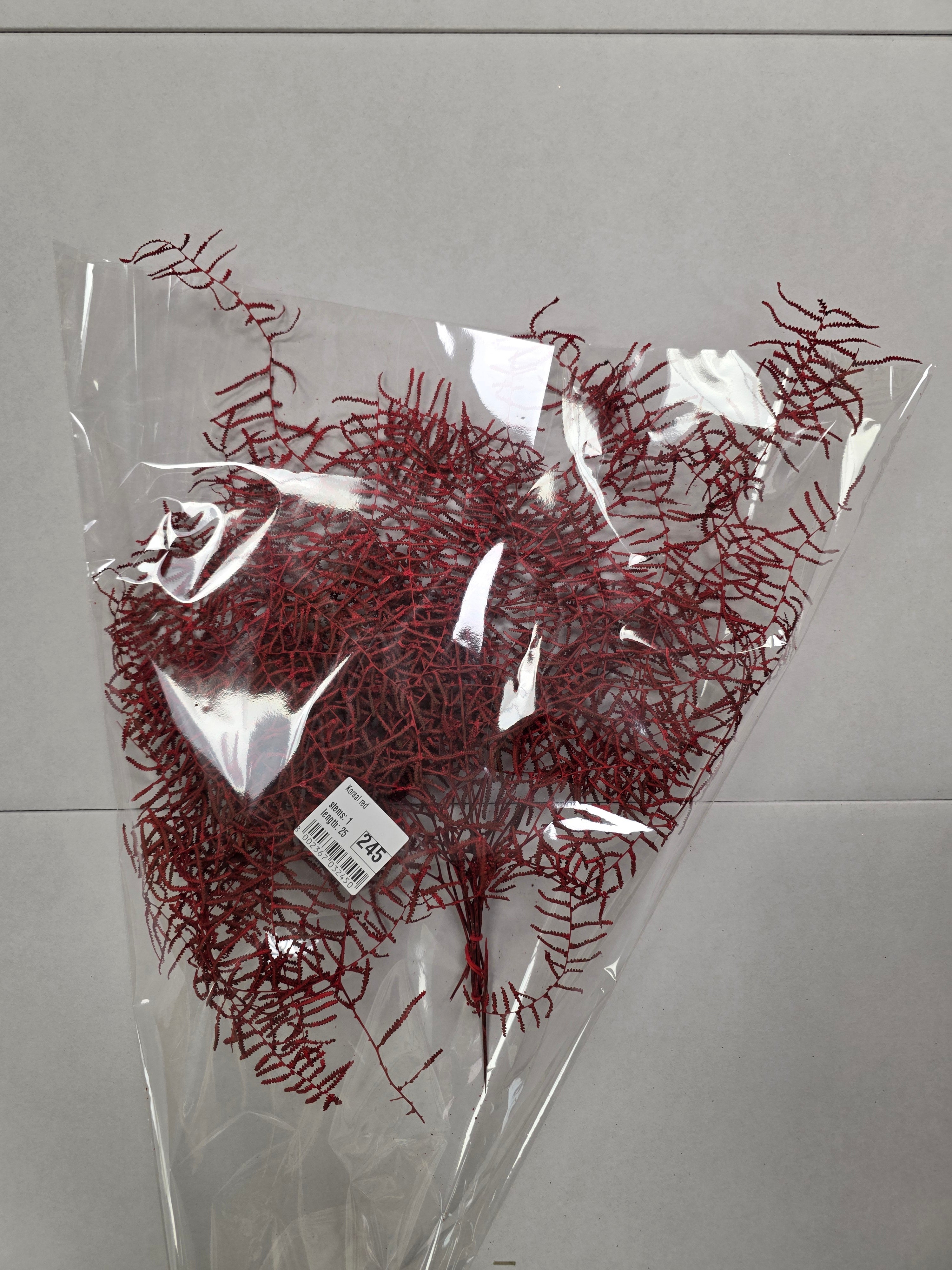 Koraal Red