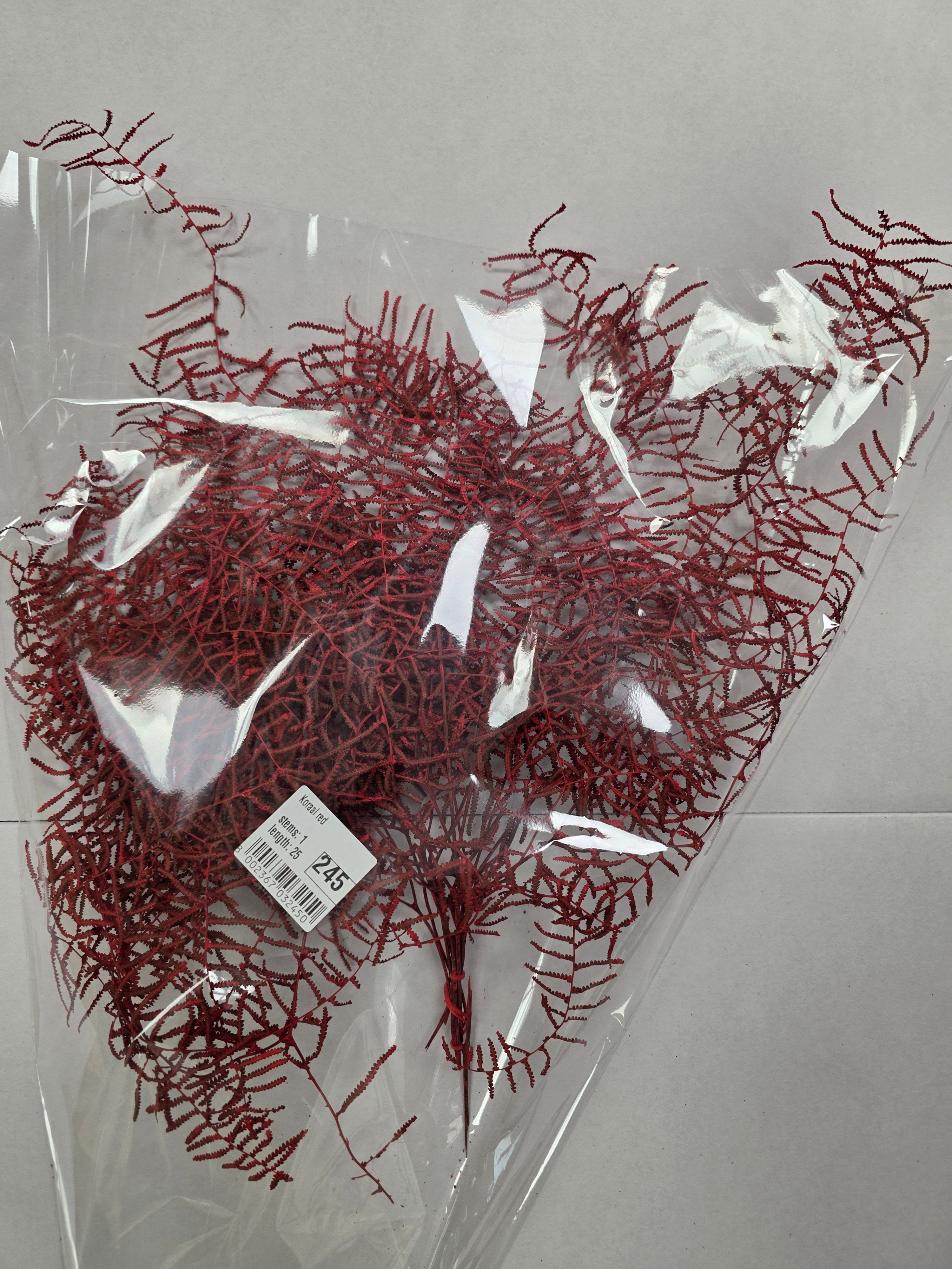 Koraal Red