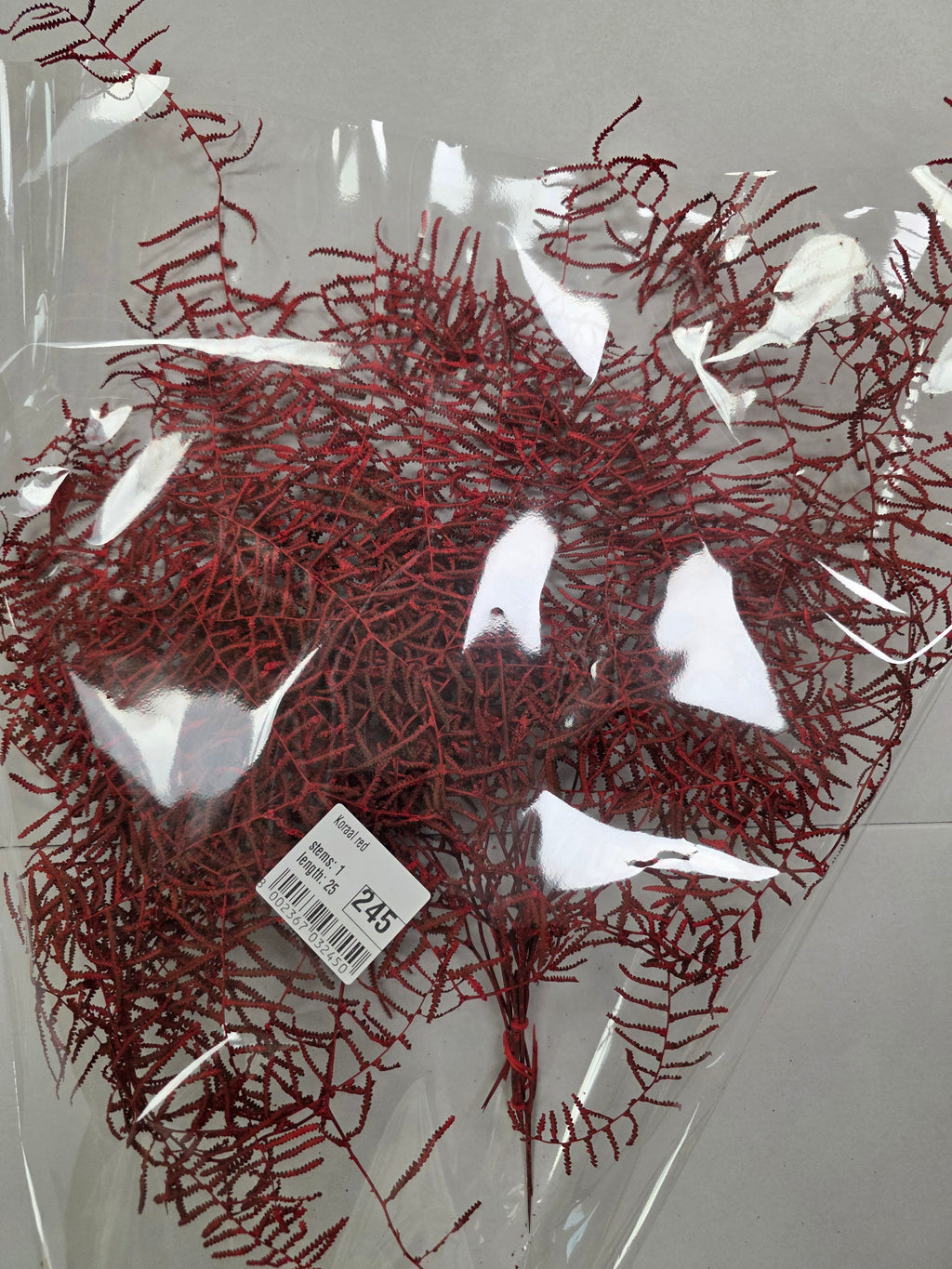 Koraal Red