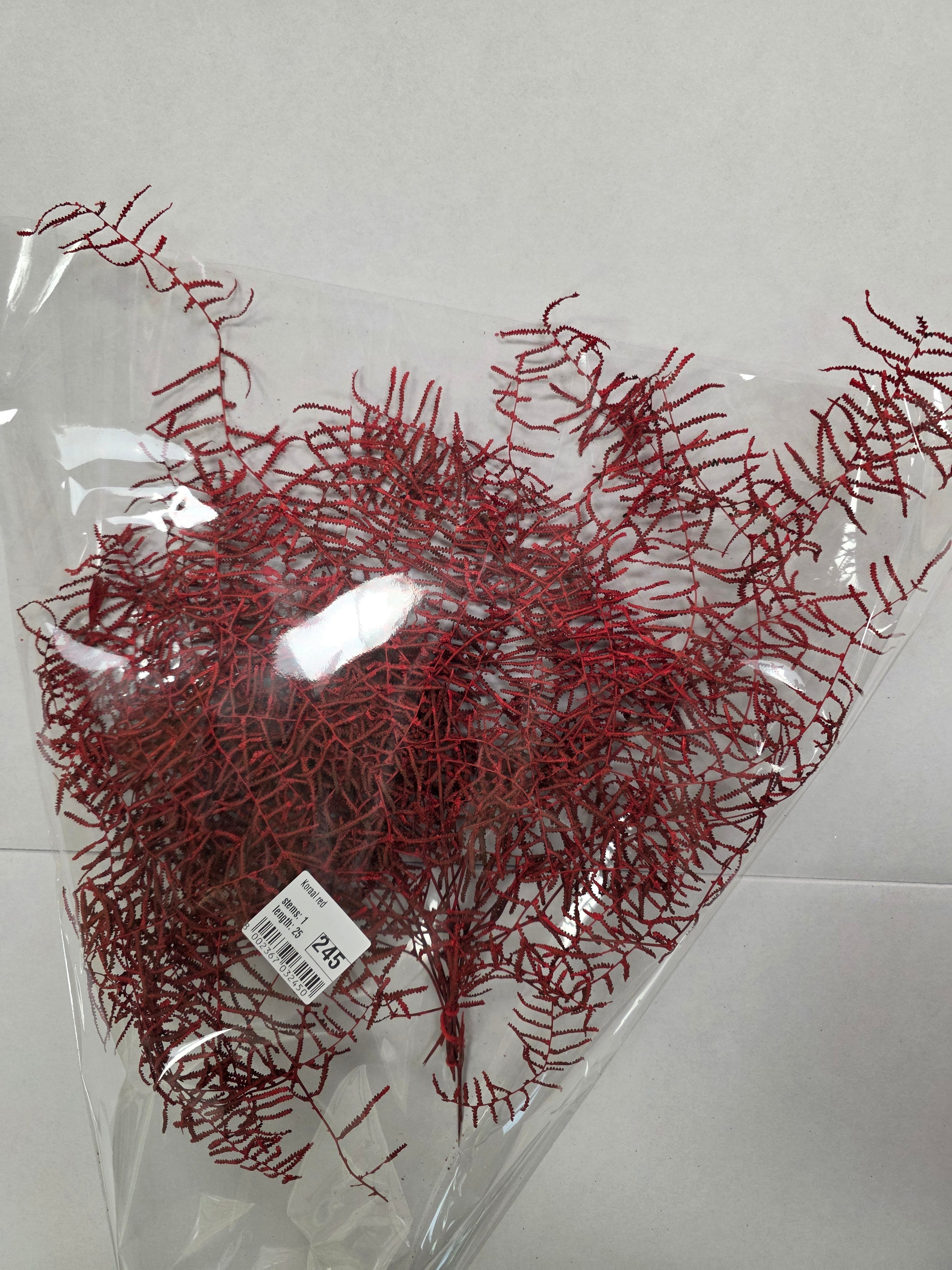 Koraal Red