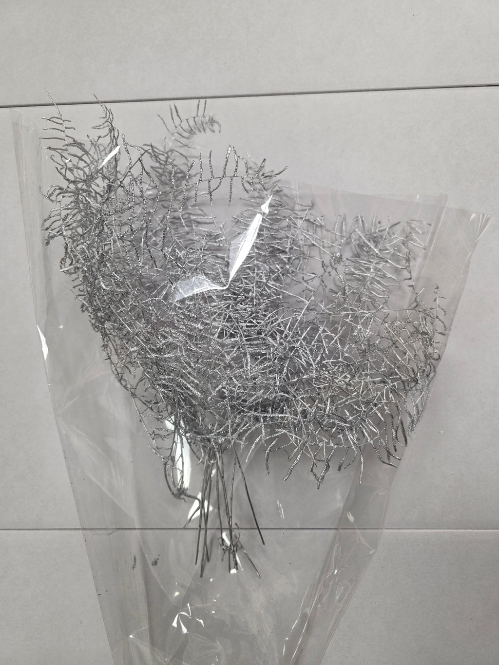 Koraal Silver