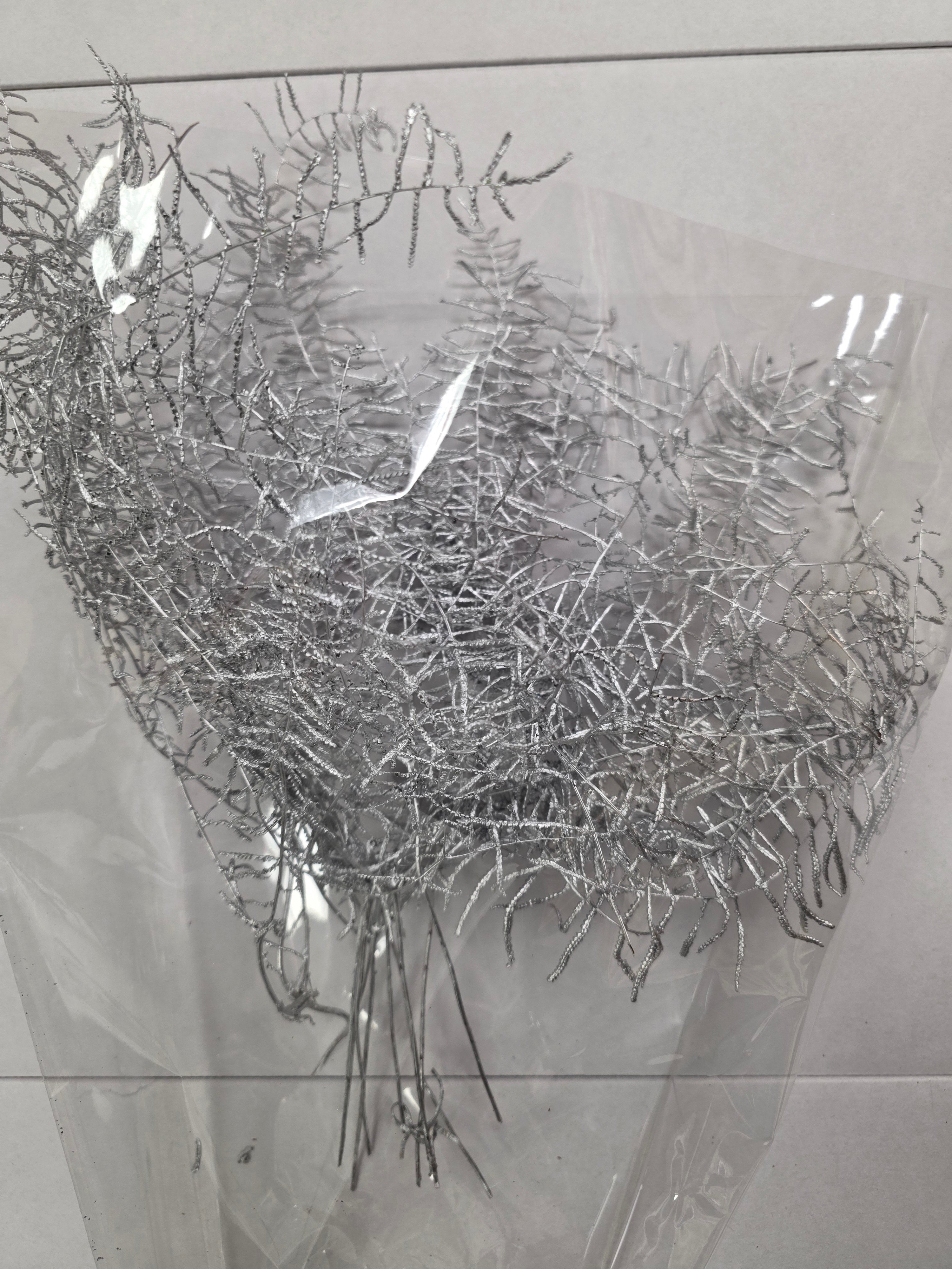 Koraal Silver
