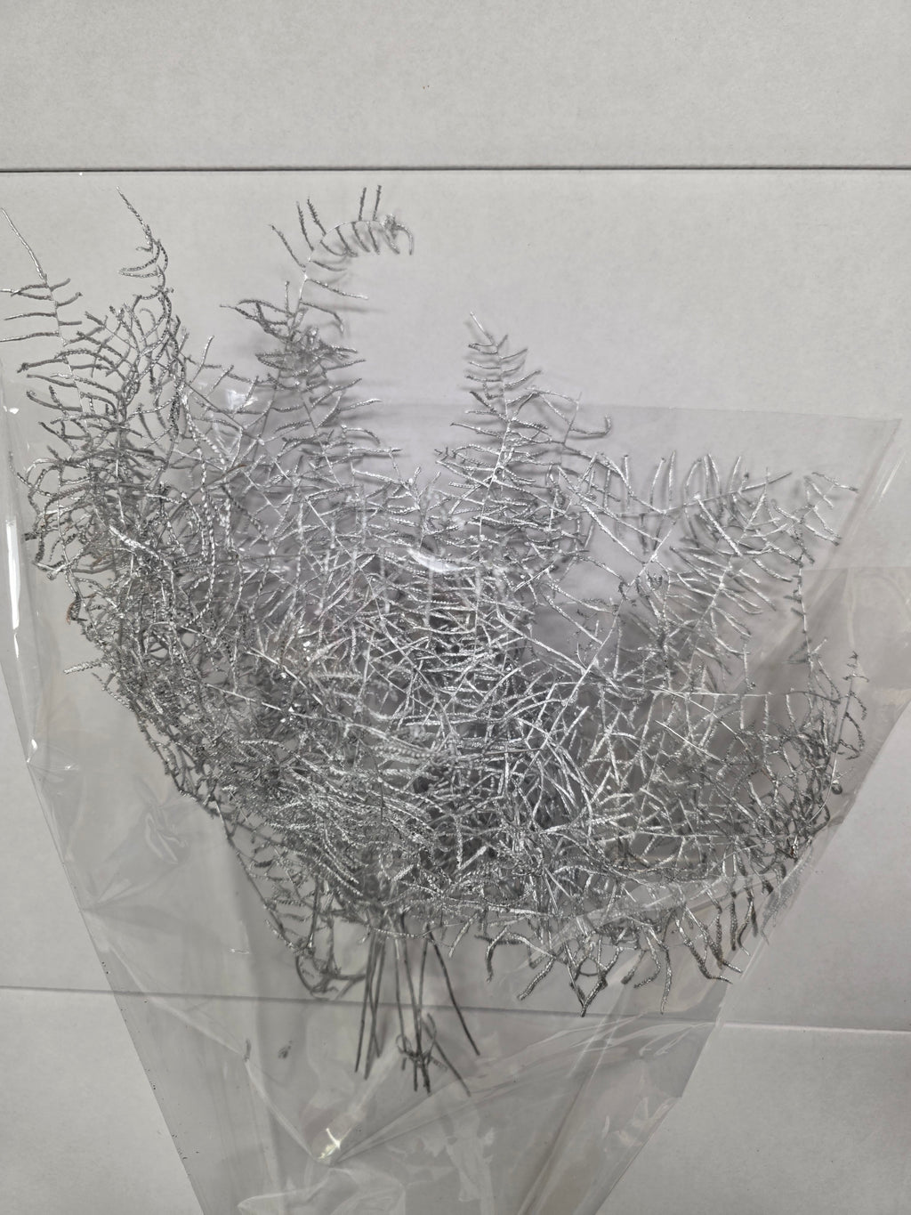 Koraal Silver