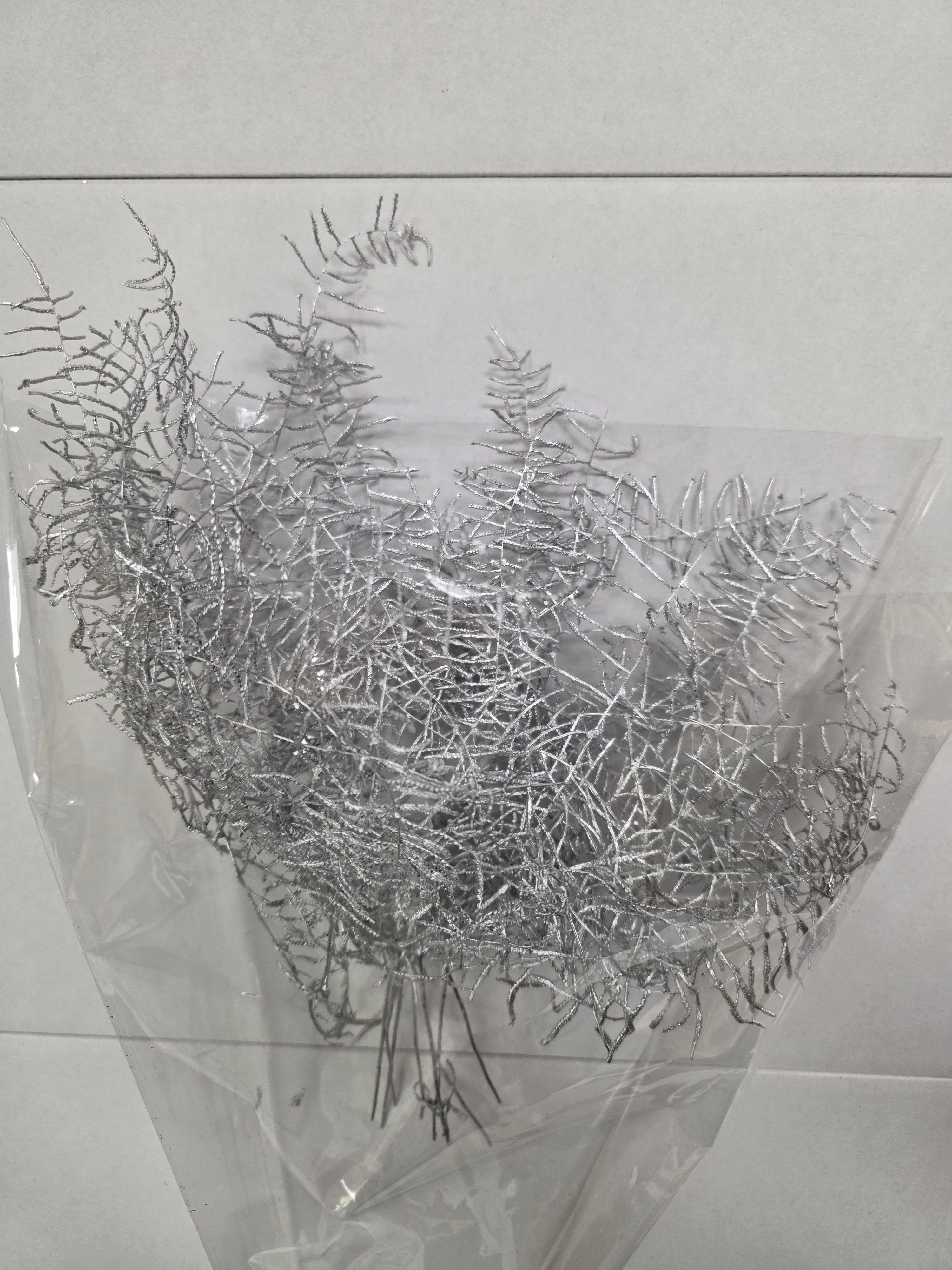 Koraal Silver