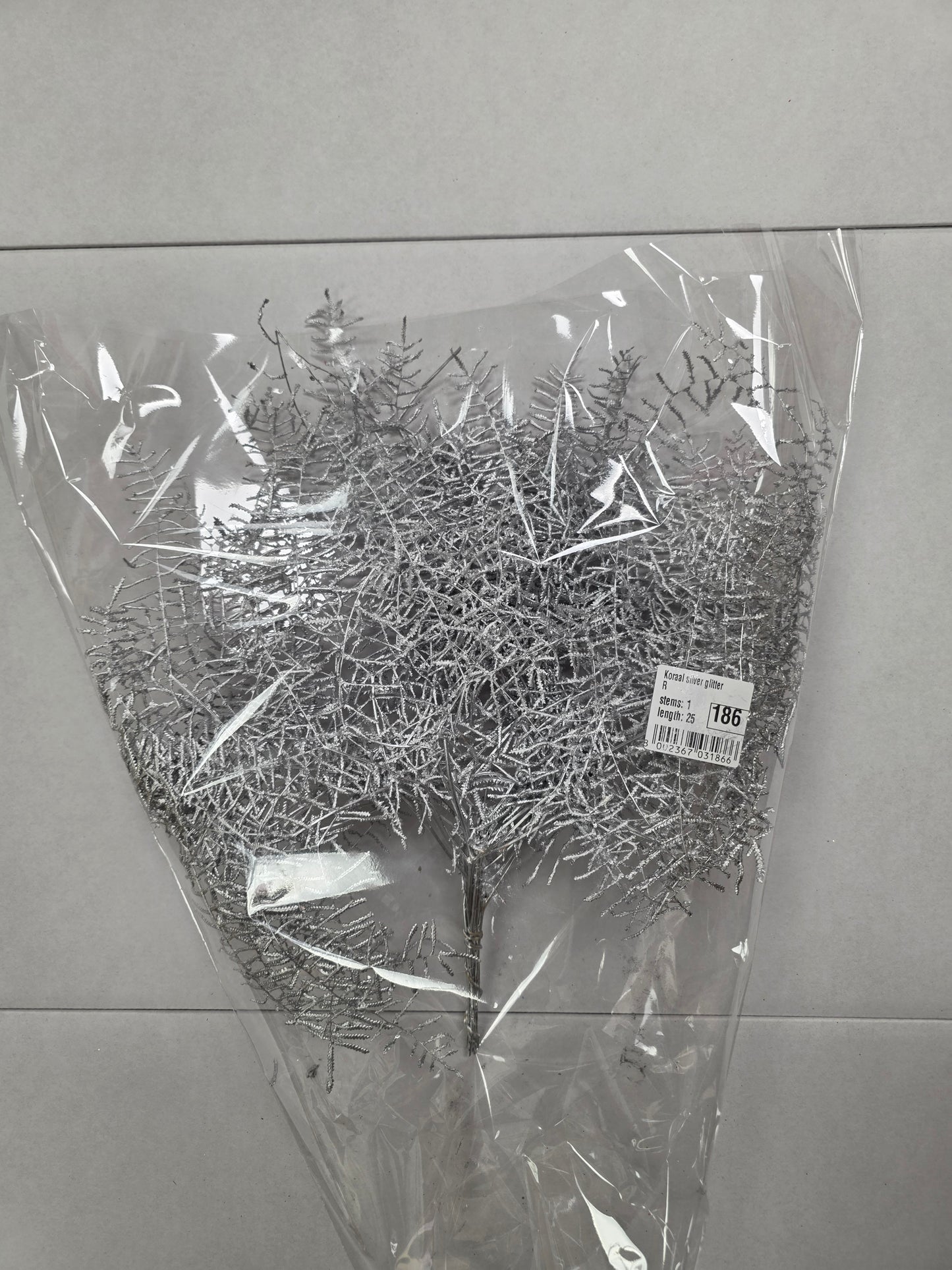 Koraal Silver Glitter