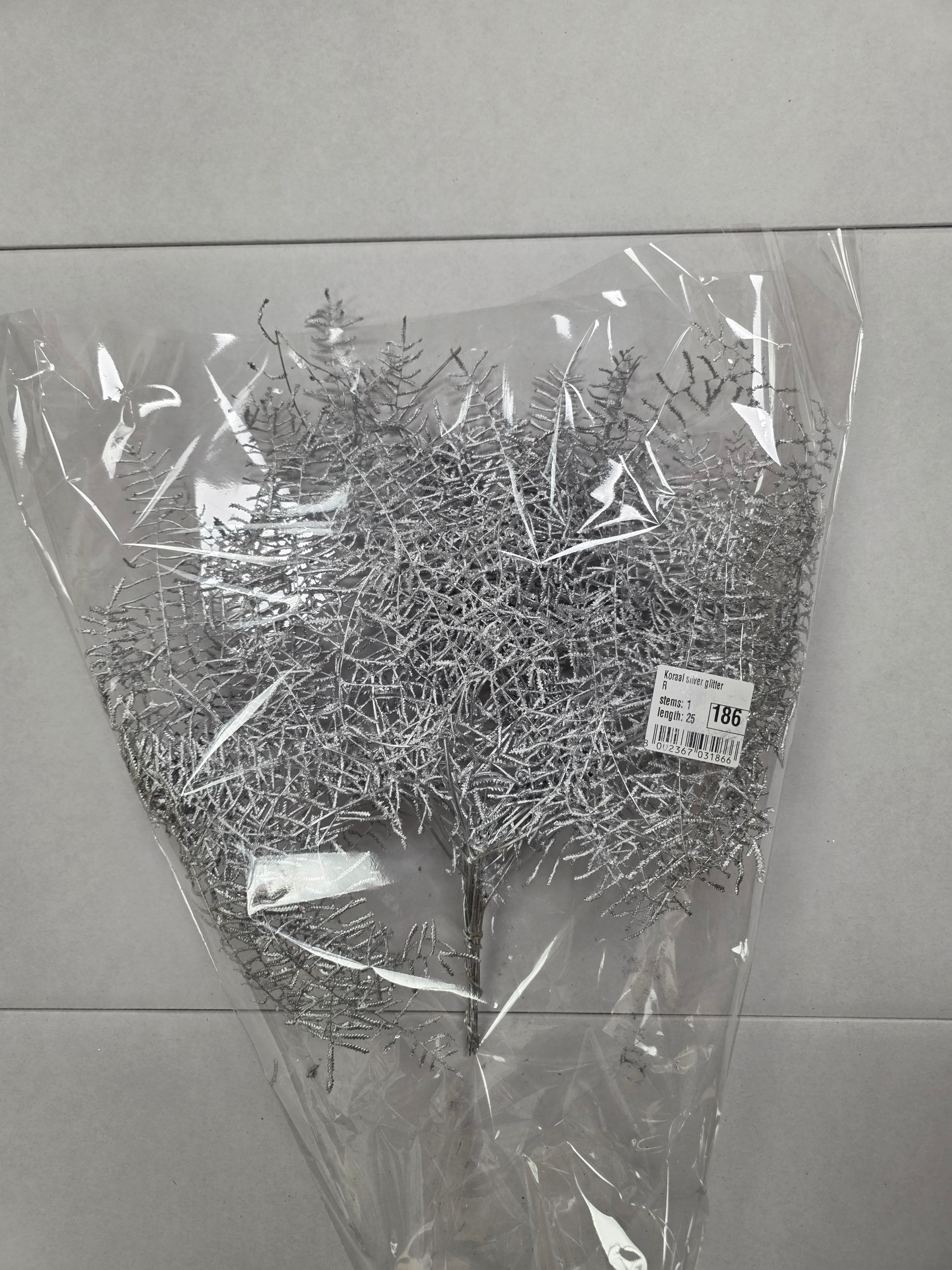Koraal Silver Glitter