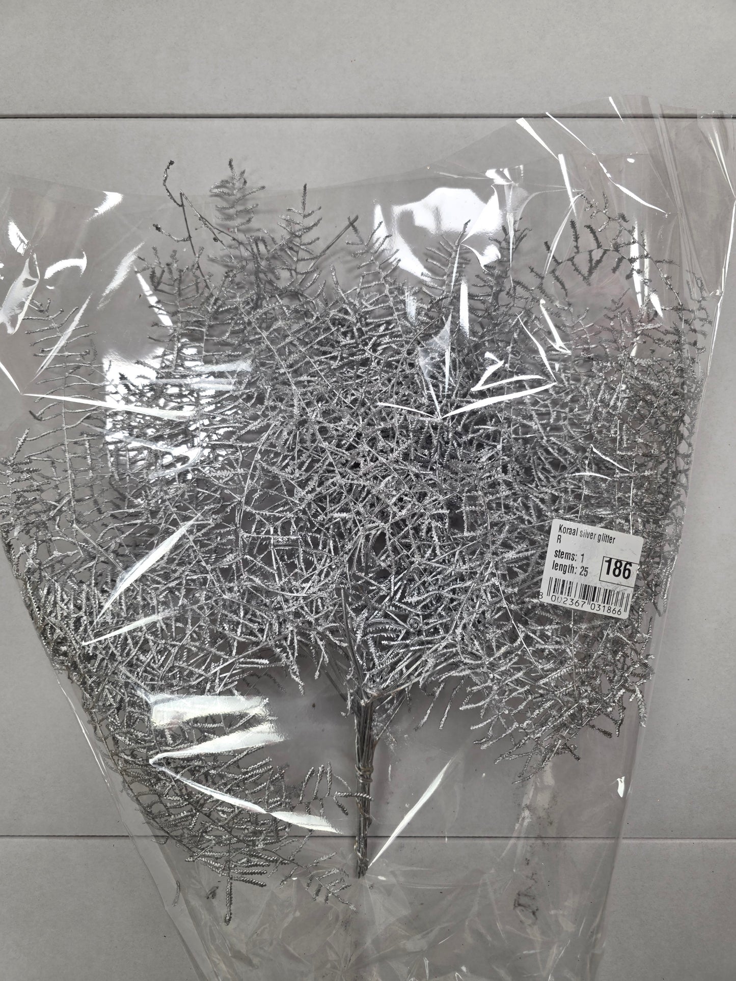 Koraal Silver Glitter