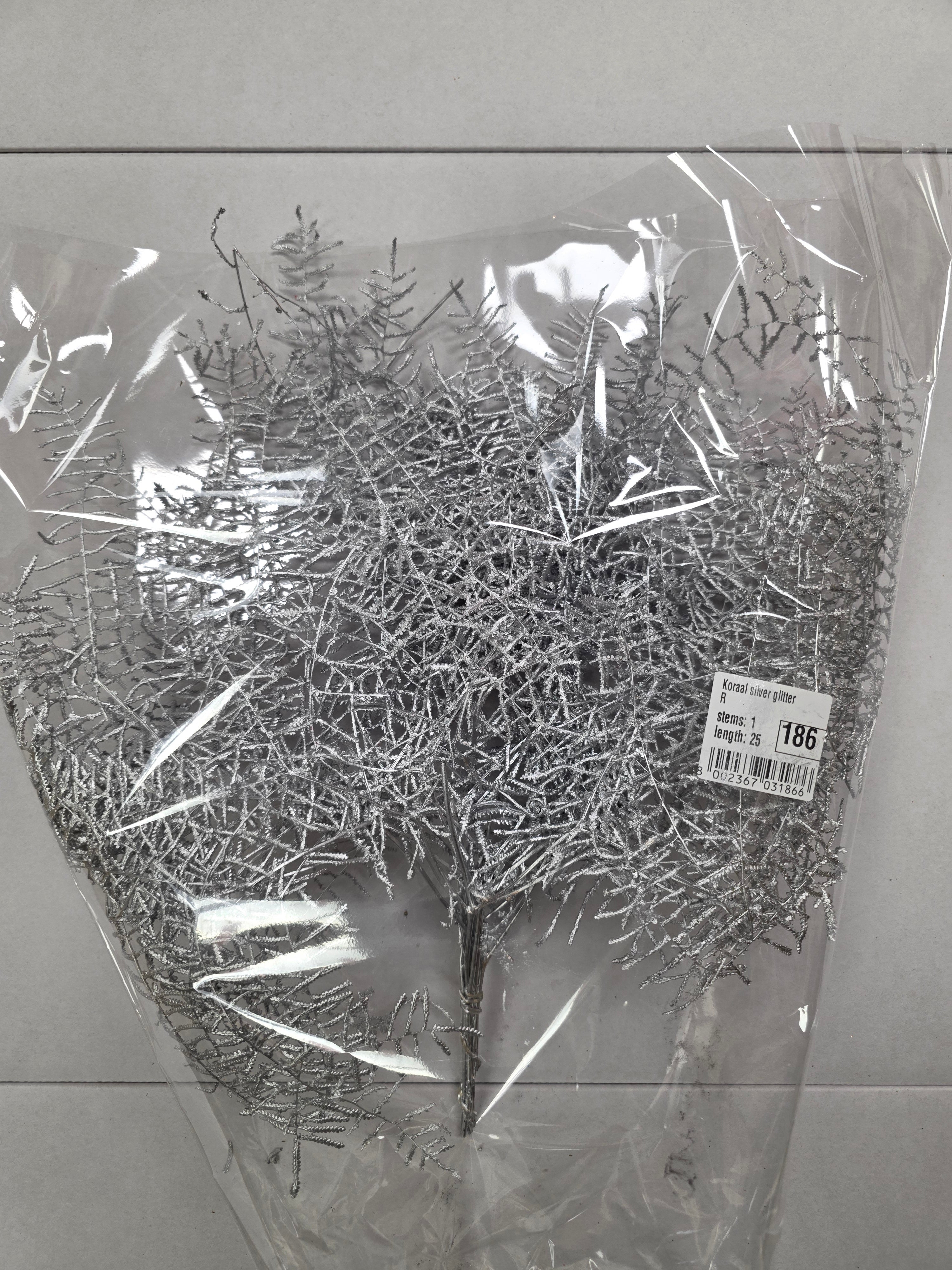 Koraal Silver Glitter