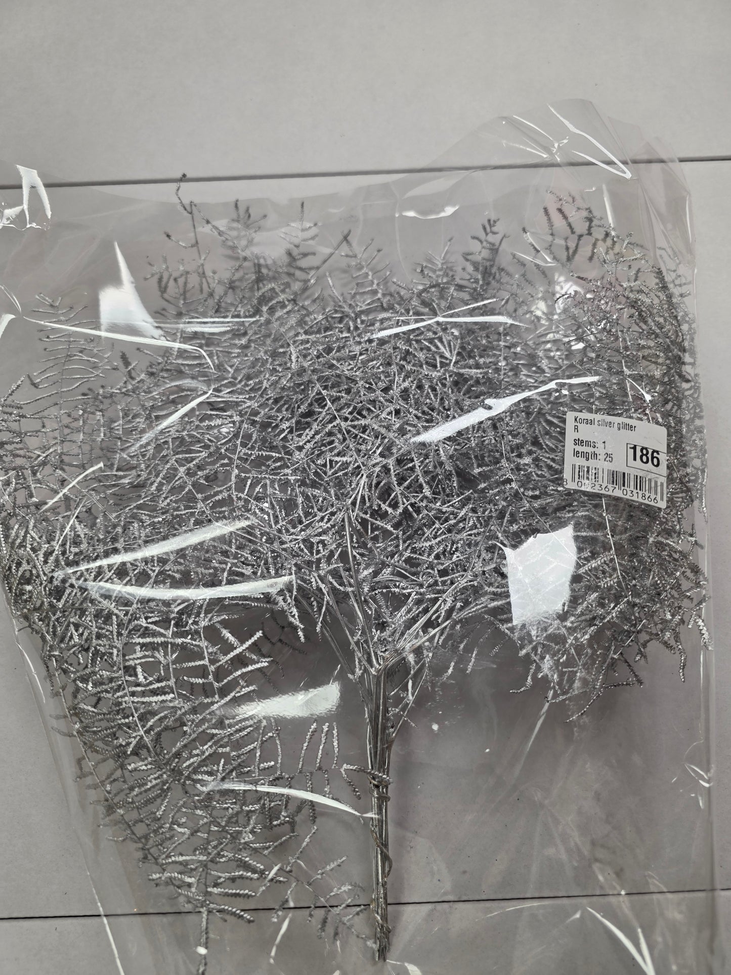 Koraal Silver Glitter