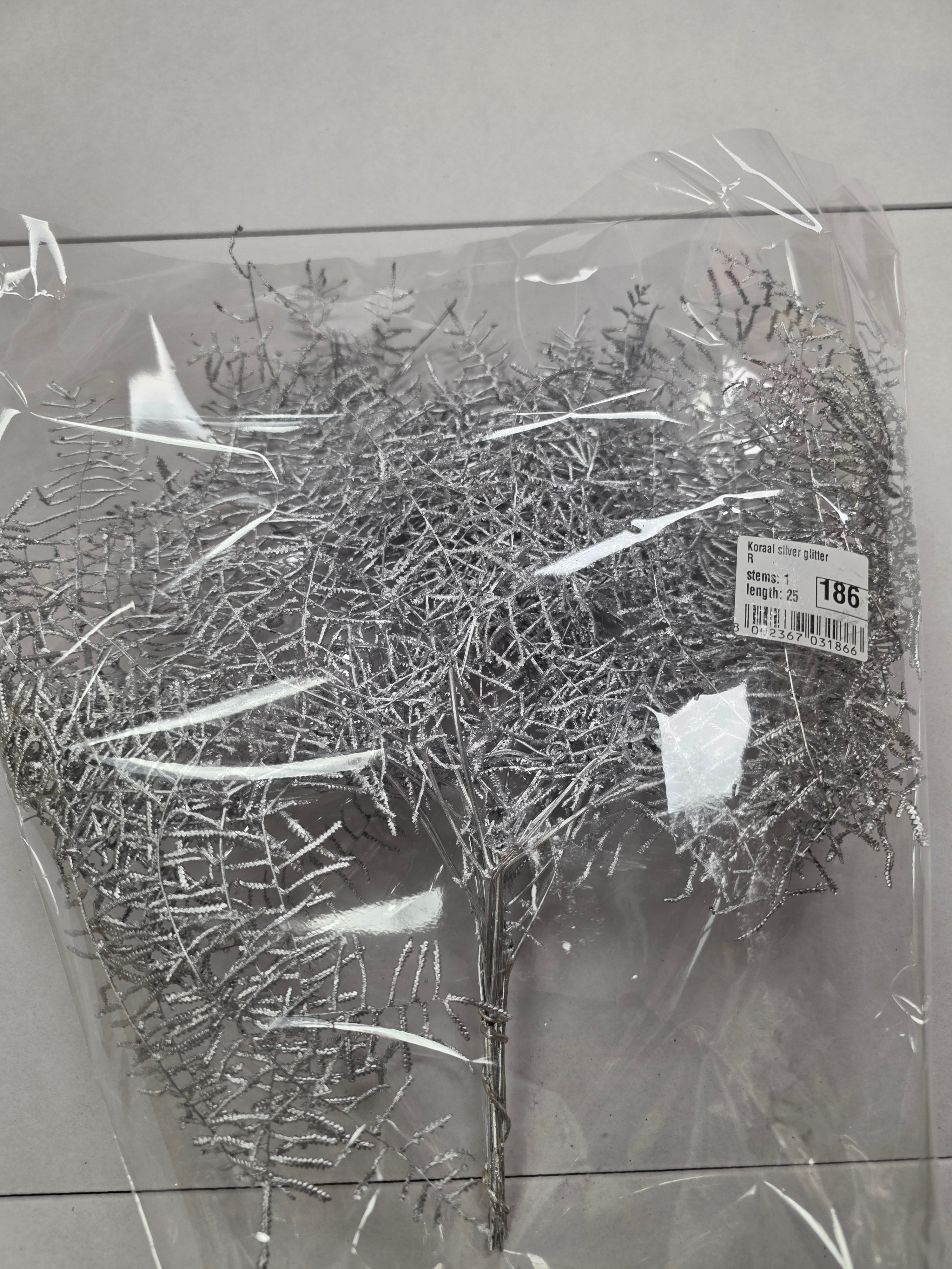Koraal Silver Glitter