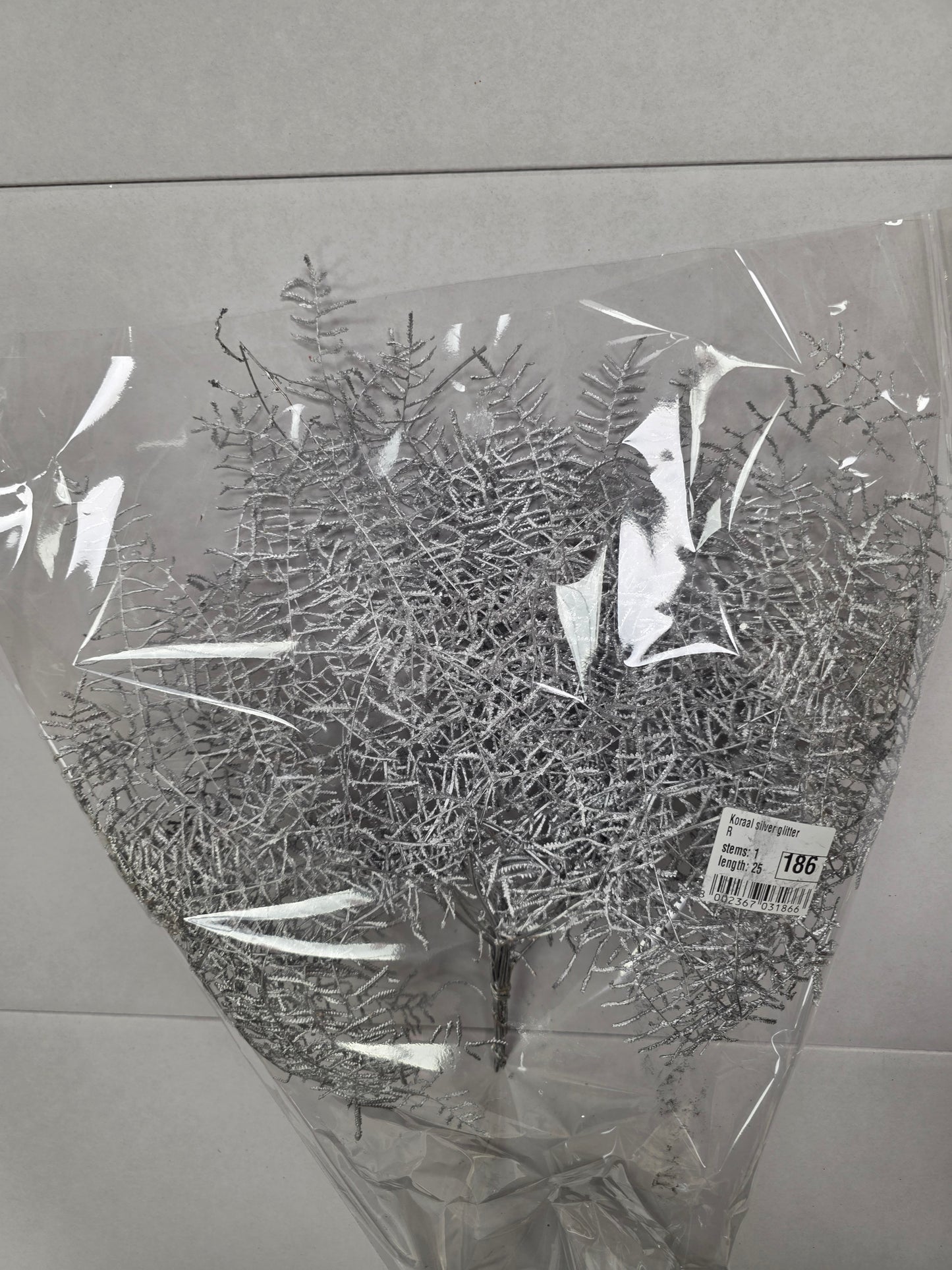 Koraal Silver Glitter