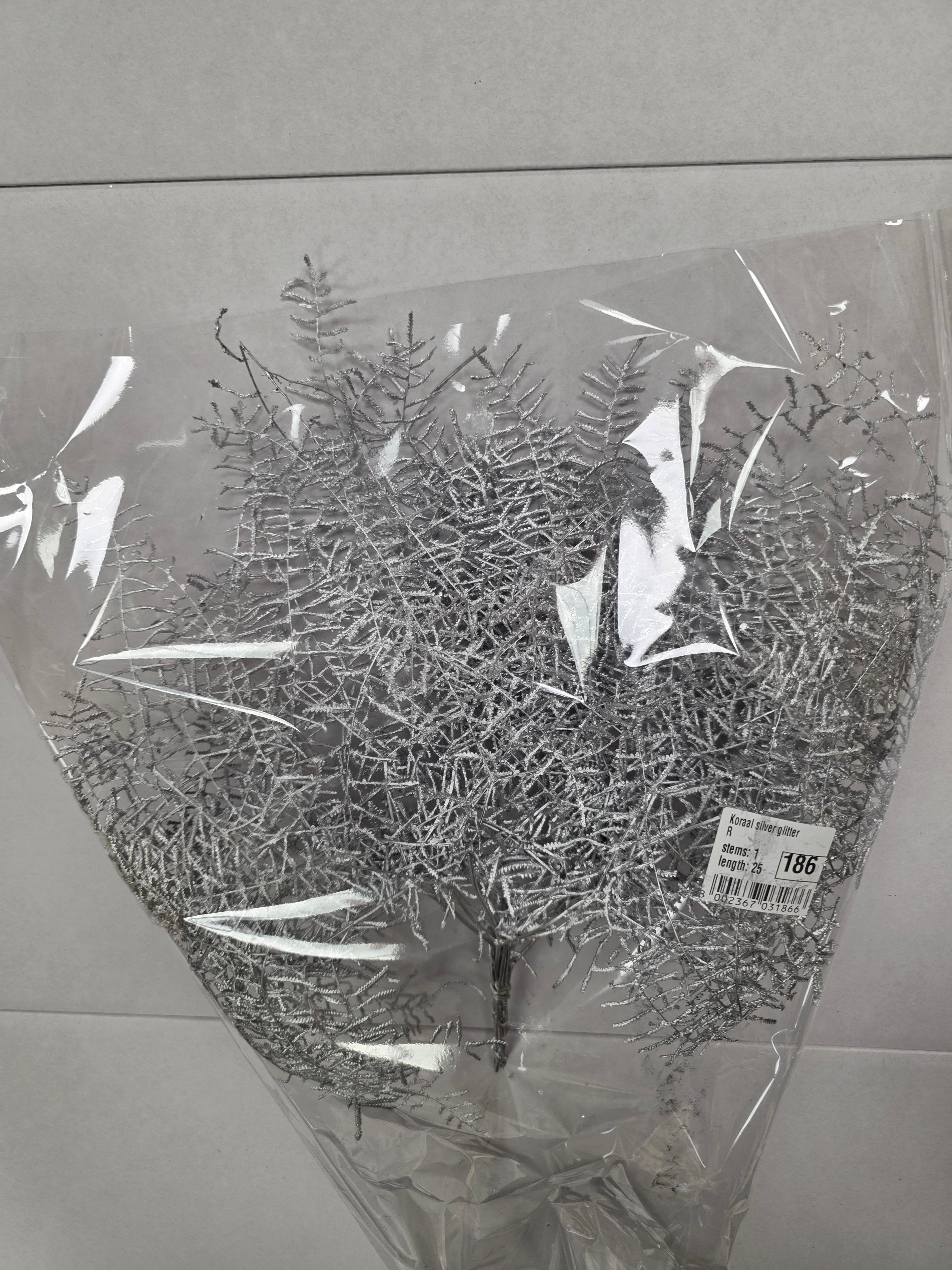 Koraal Silver Glitter
