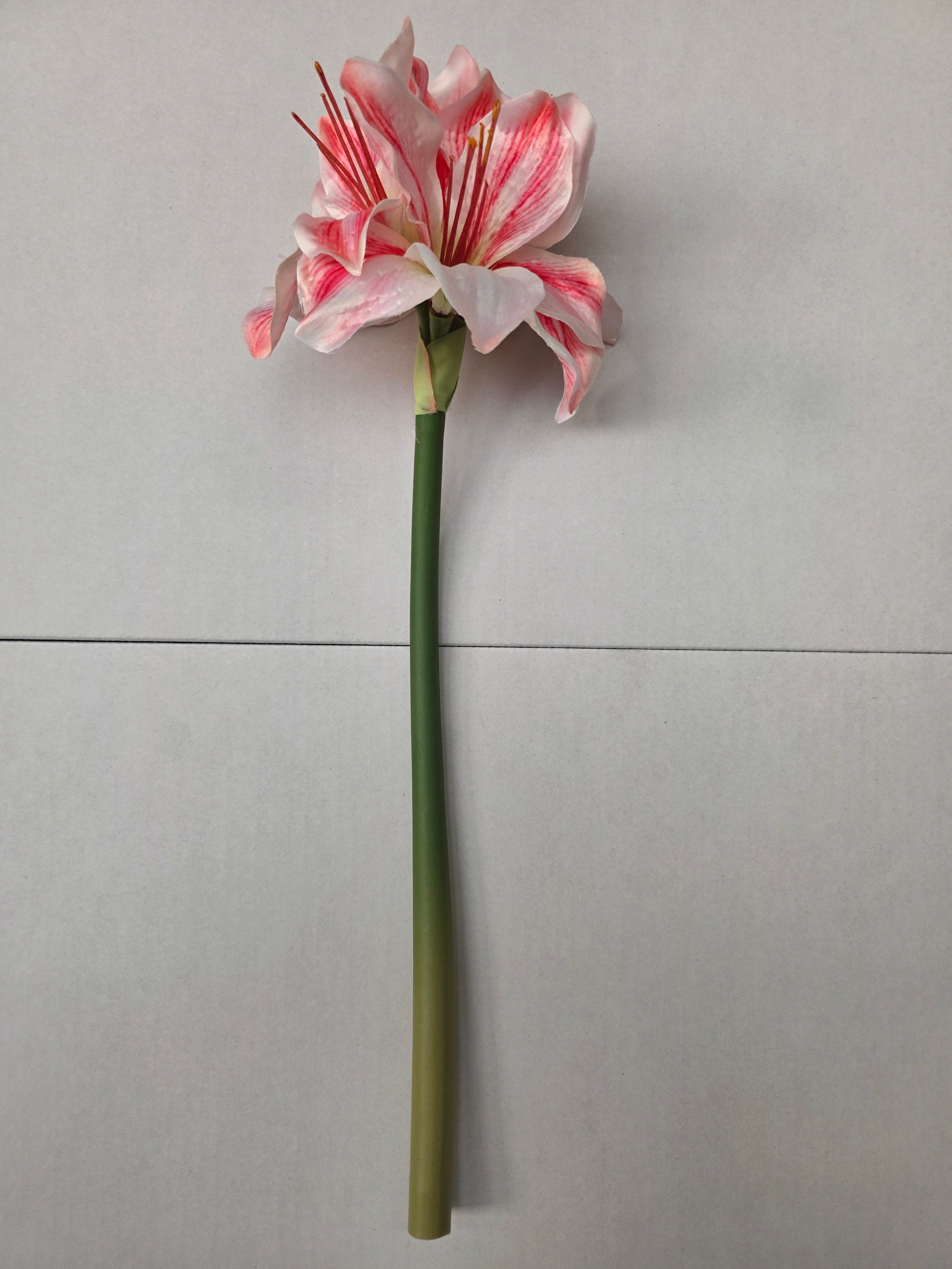 Artificial Amaryllis Pink White 40cm (pack of 2)