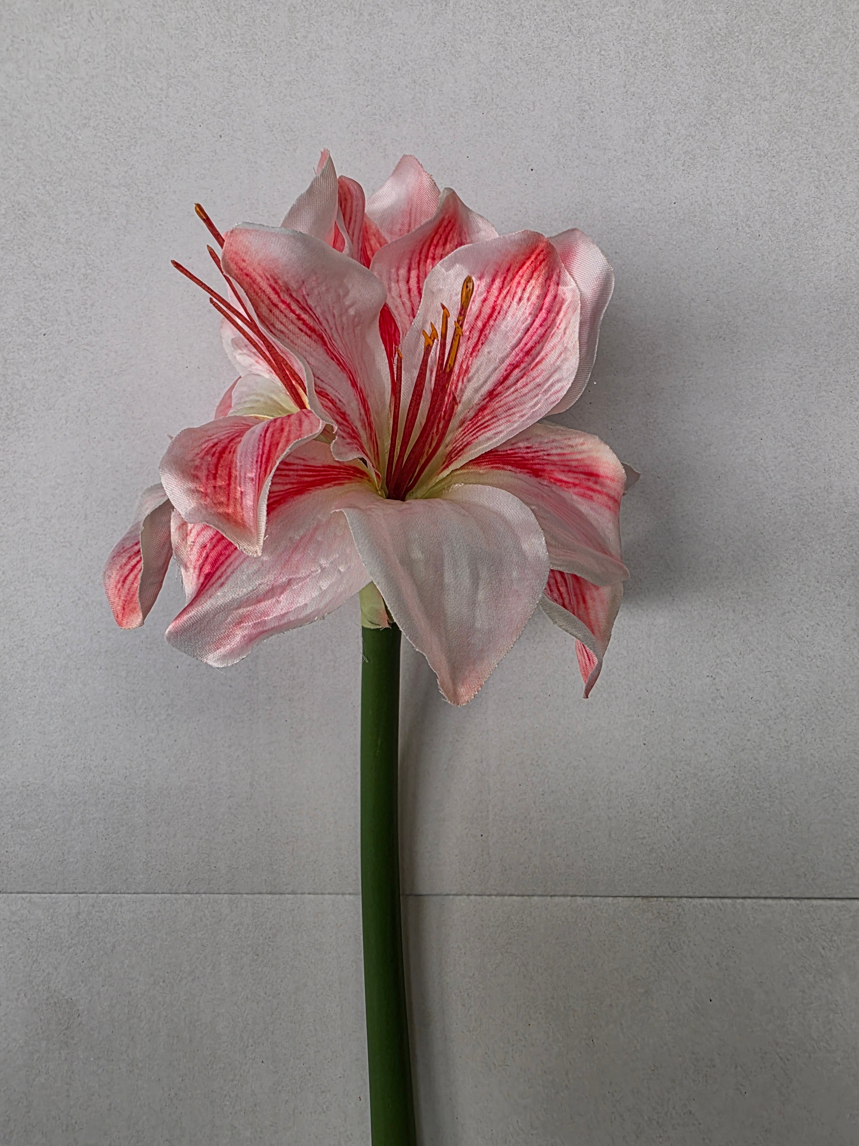 Artificial Amaryllis Pink White 40cm (pack of 2)