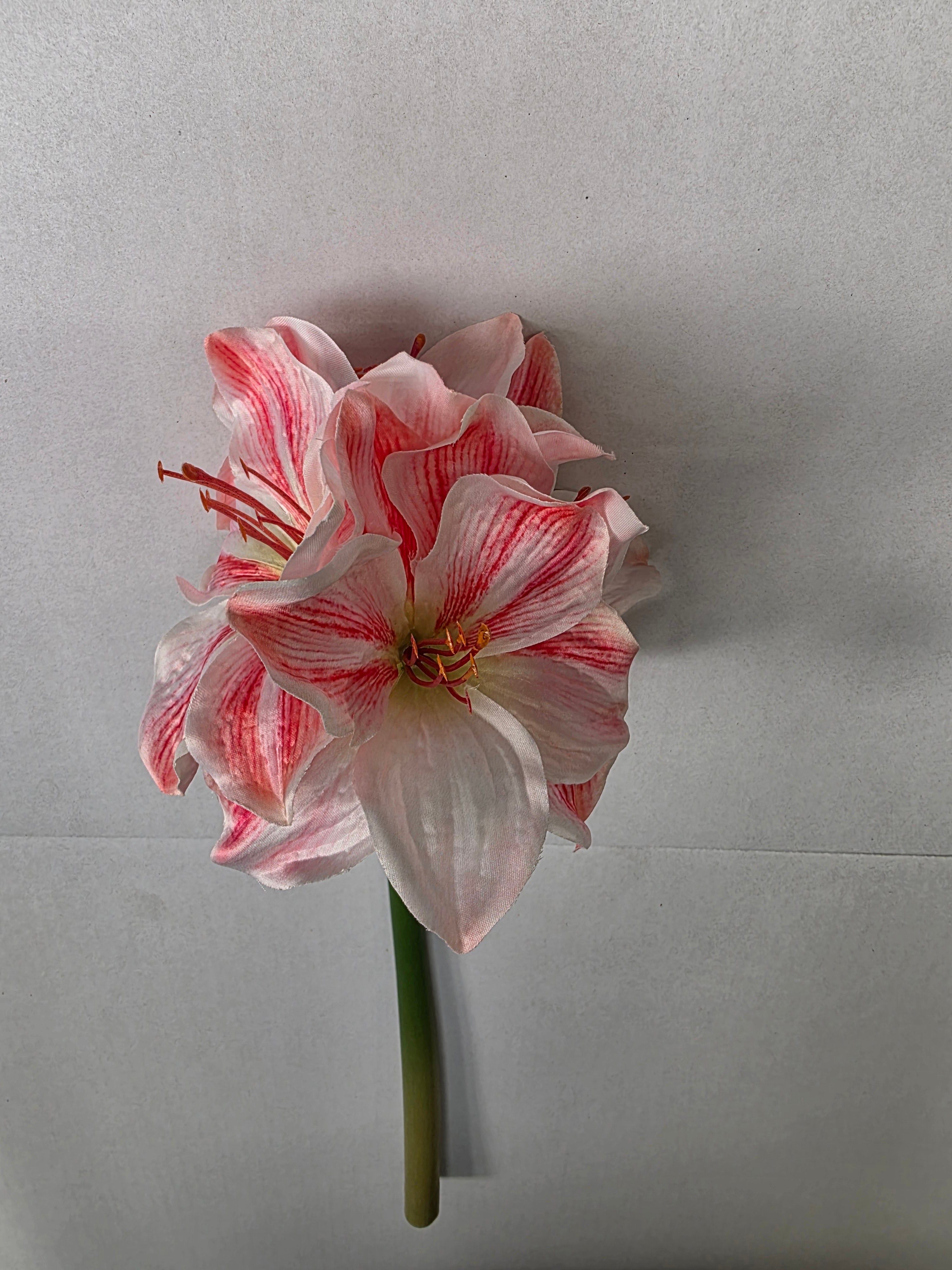 Artificial Amaryllis Pink White 40cm (pack of 2)