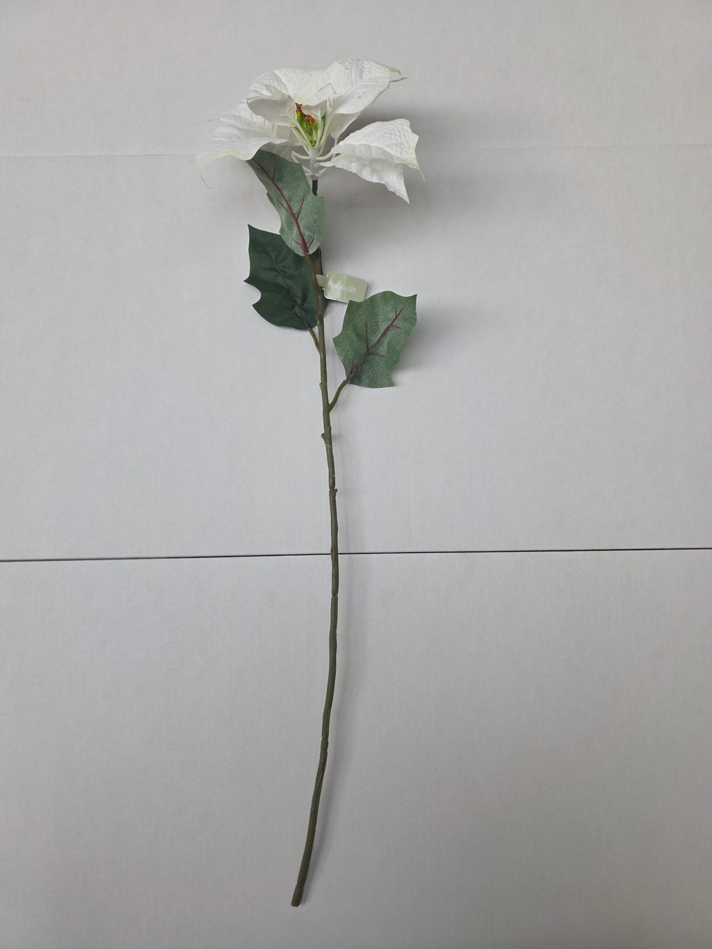 Poinsettia 75cm White (pack of 2)