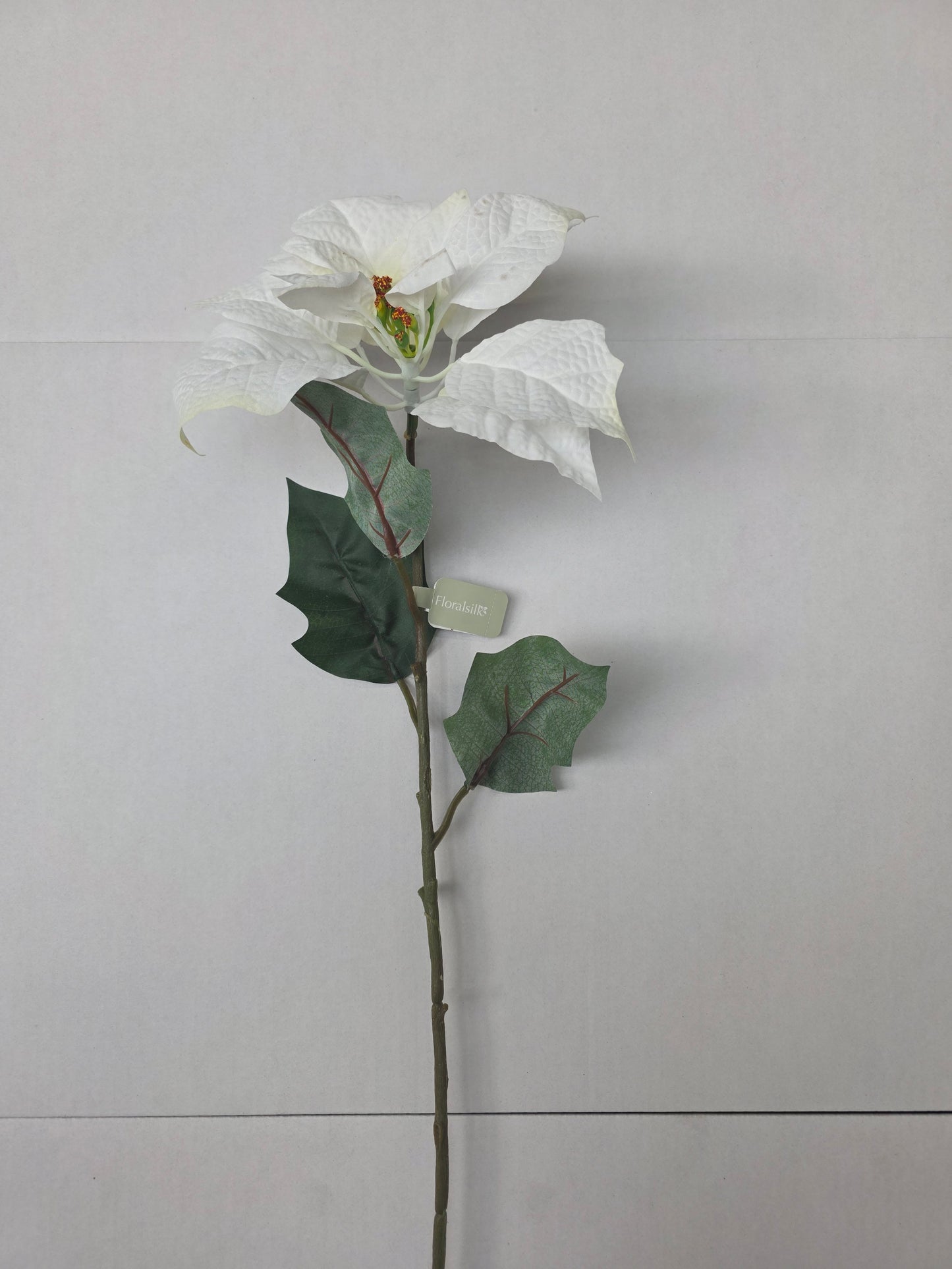 Poinsettia 75cm White (pack of 2)